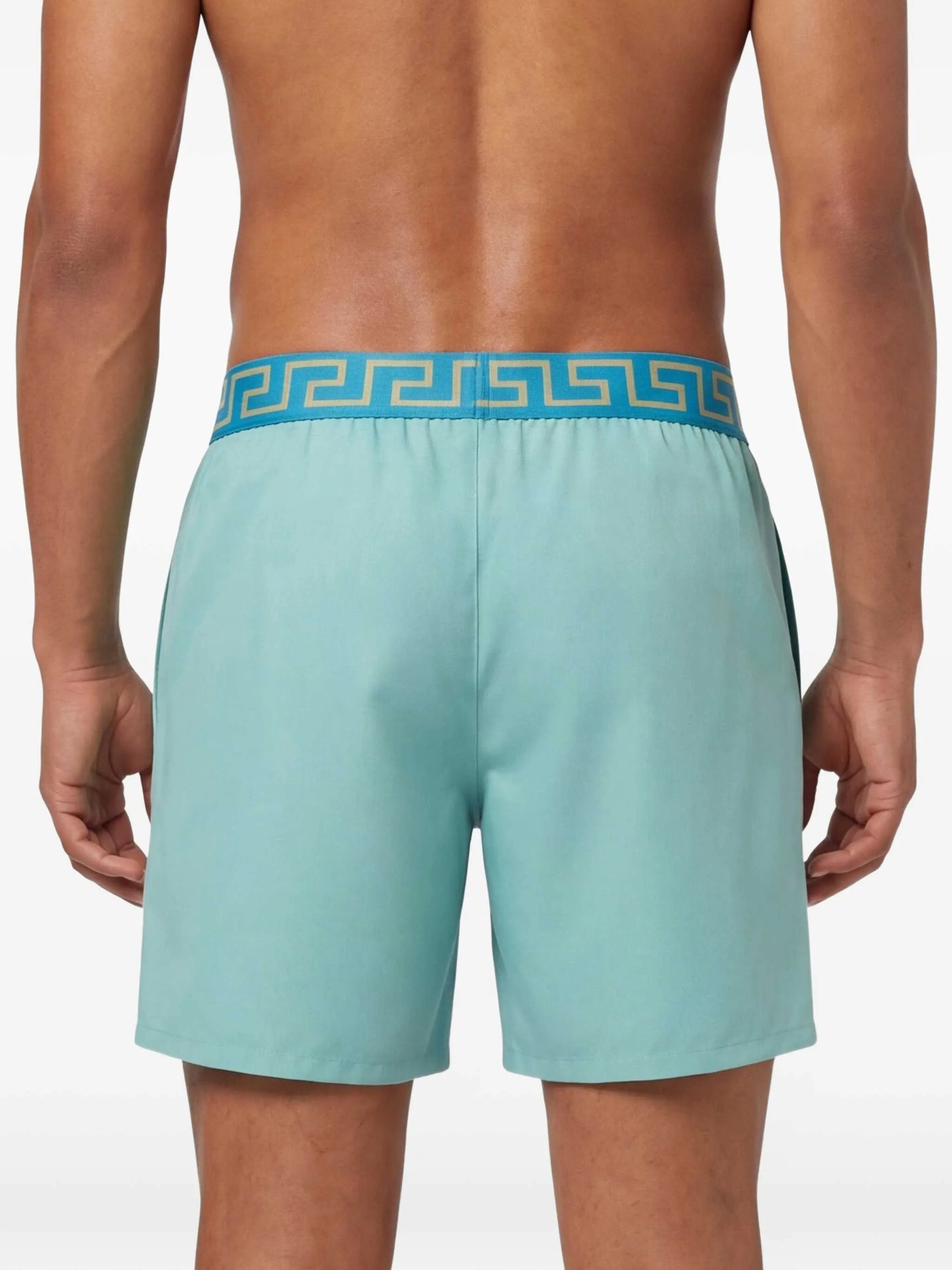 greca border swim shorts