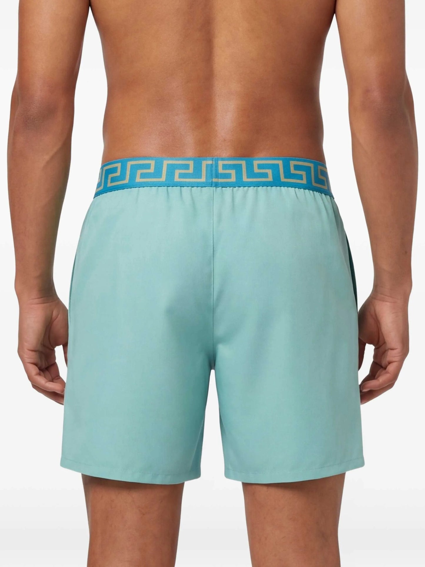 greca border swim shorts