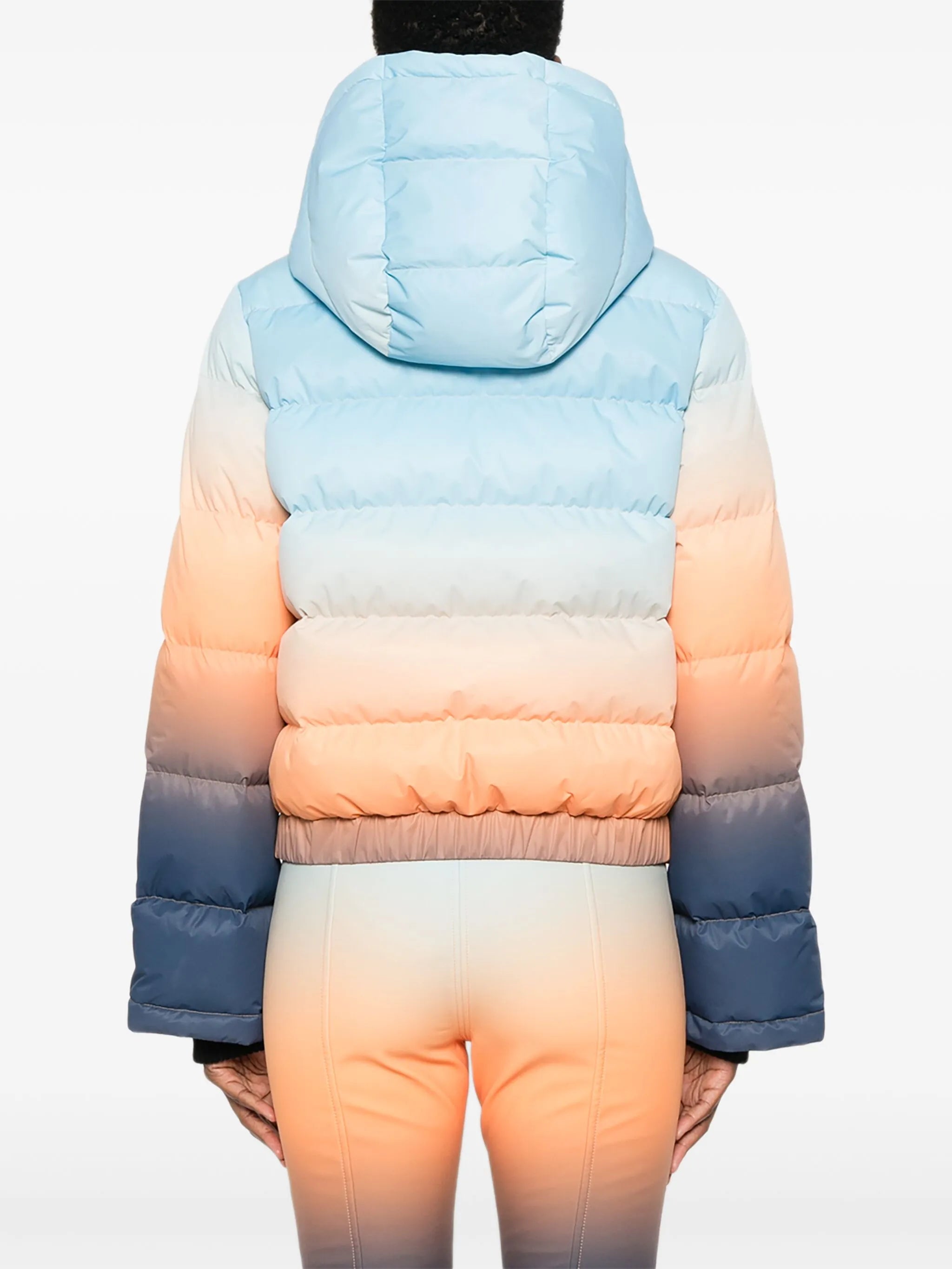 Polar ski jacket