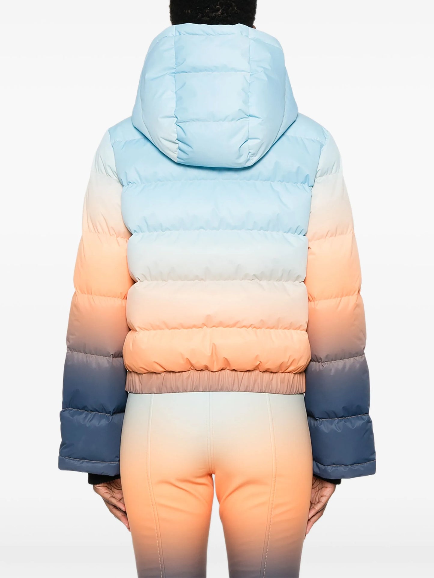 Polar ski jacket