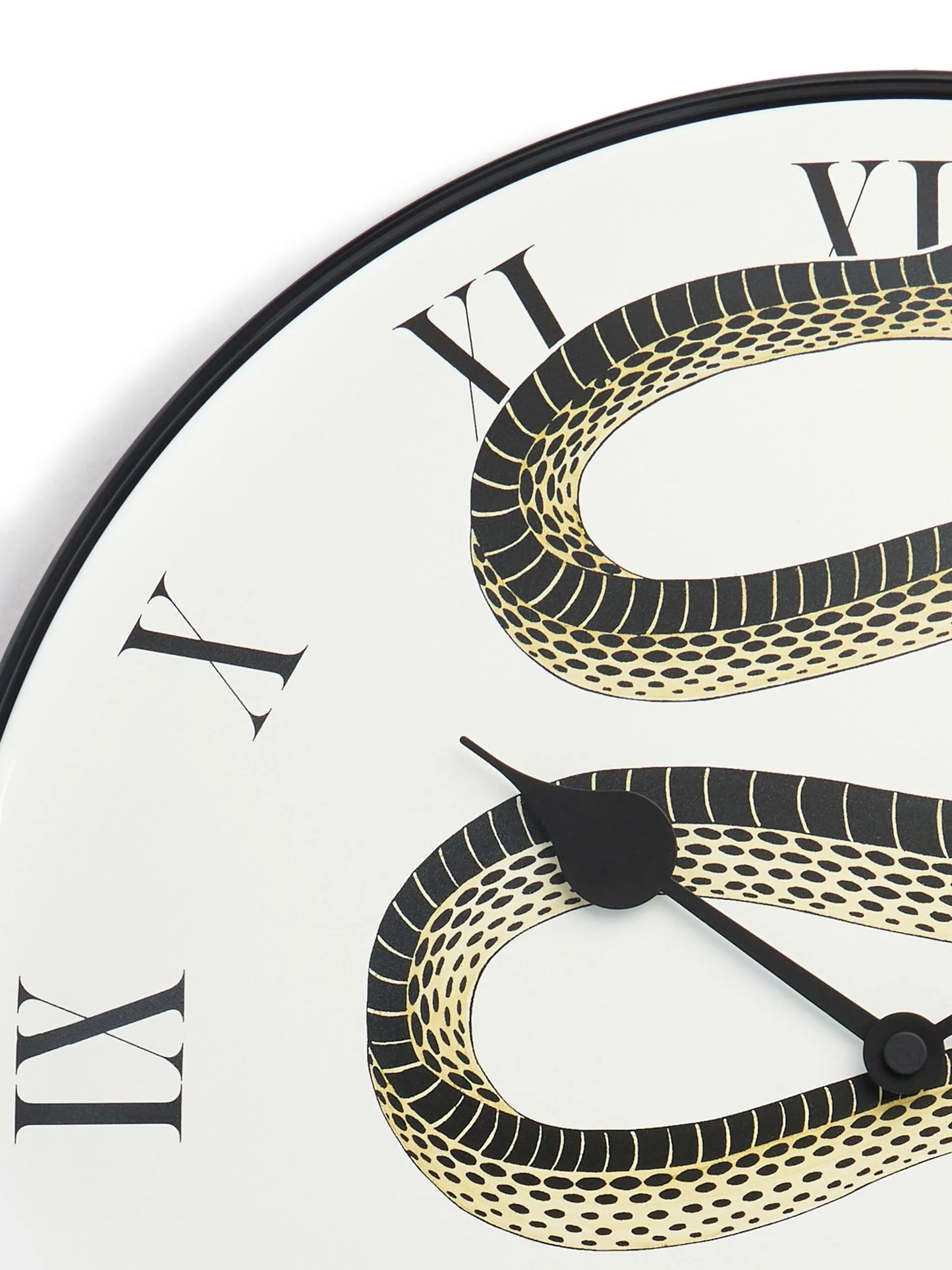 snake-motif wall clock