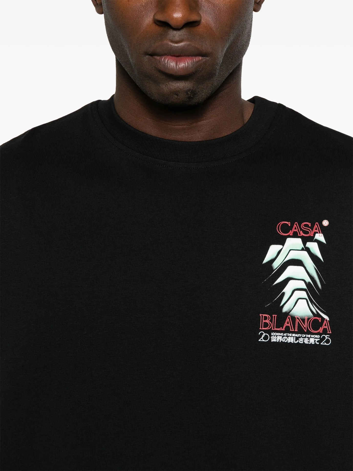 Frosty Mountain T-shirt