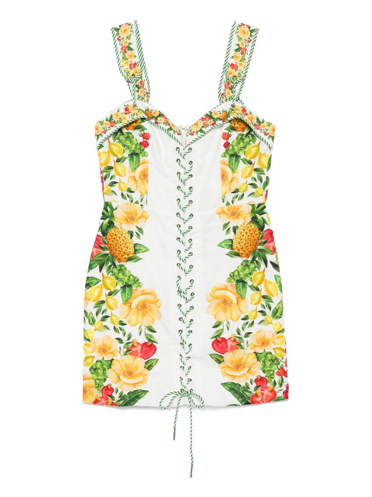 Picnic Flowers minidress