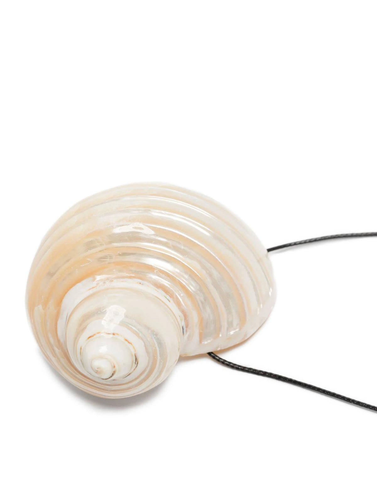 Sea shell-pendant necklace