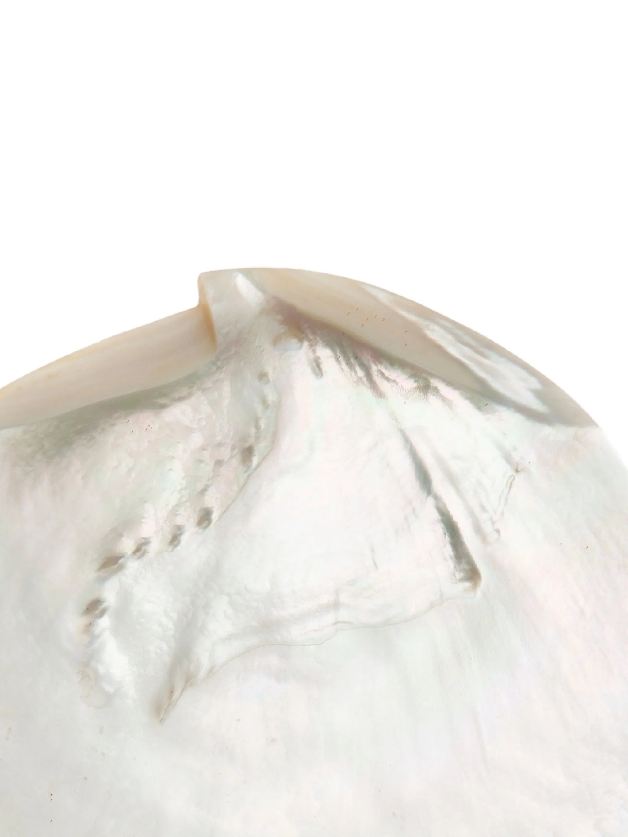 mother-of-pearl caviar set