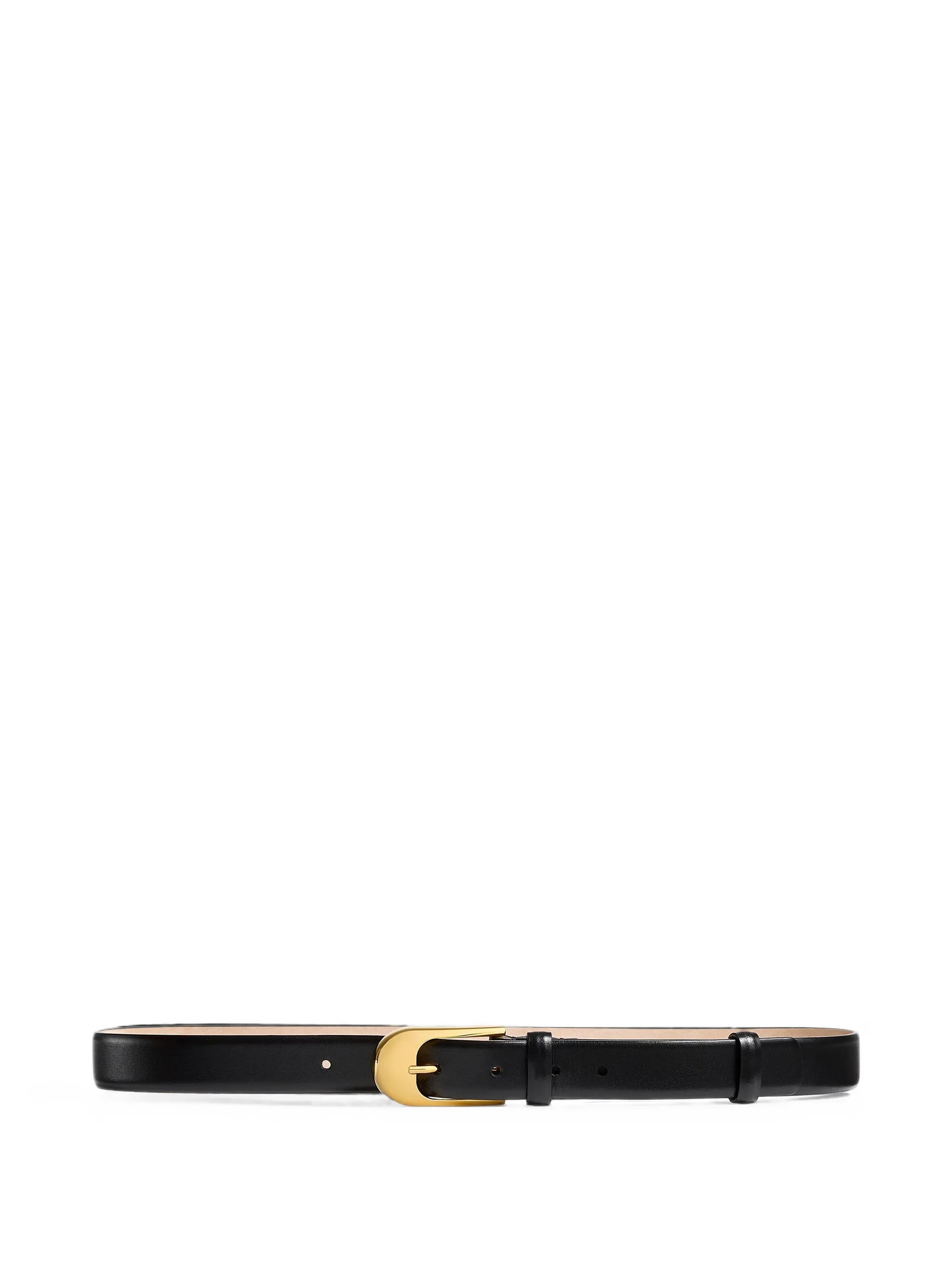 Dome belt