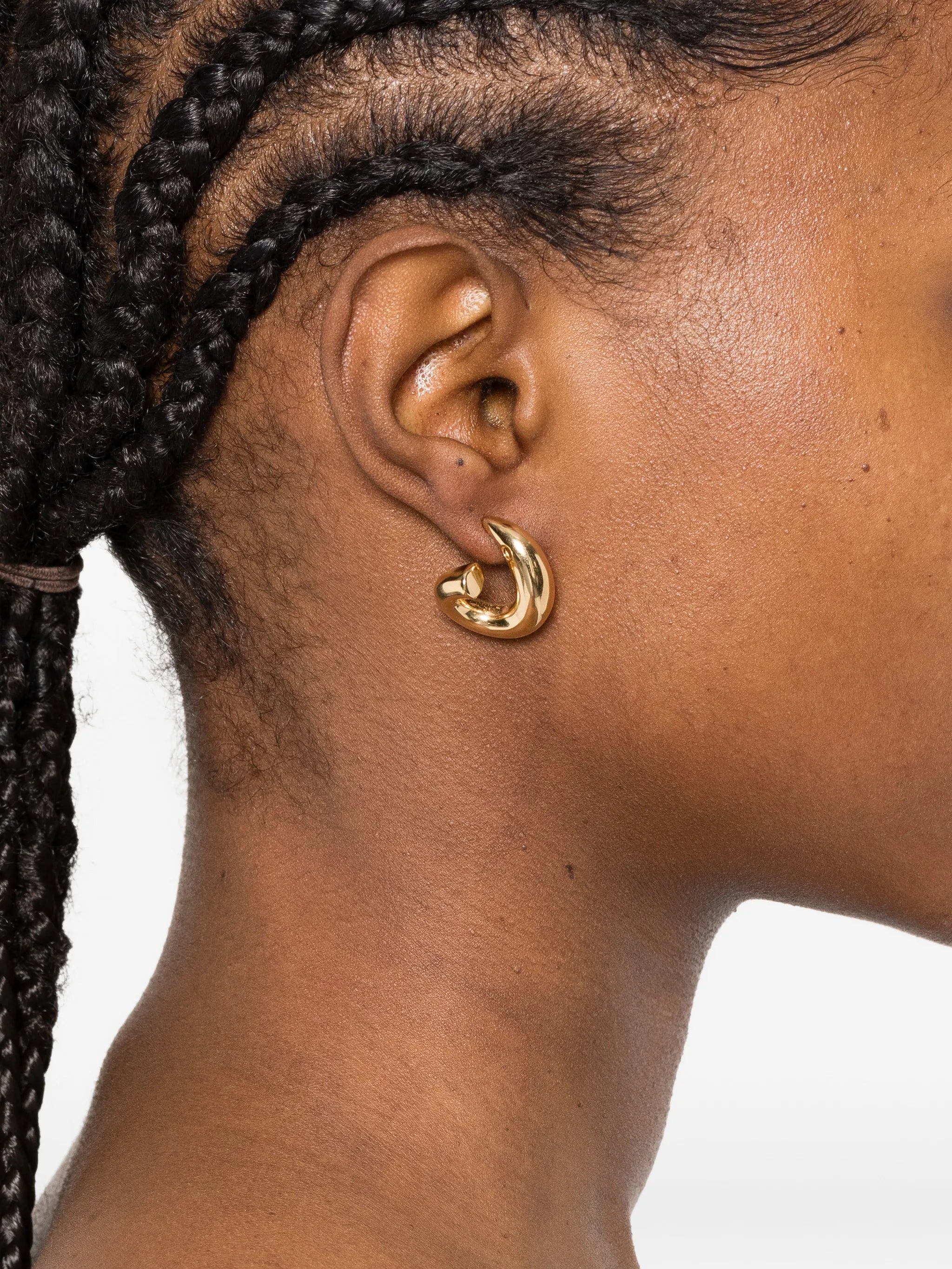 small Sardines curved earrings