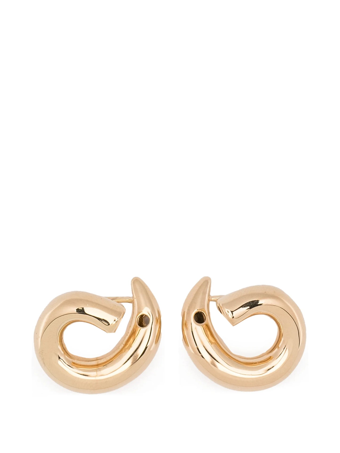 small Sardines curved earrings