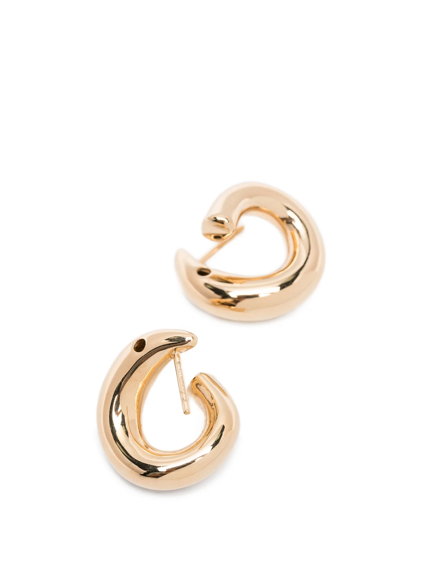 small Sardines curved earrings