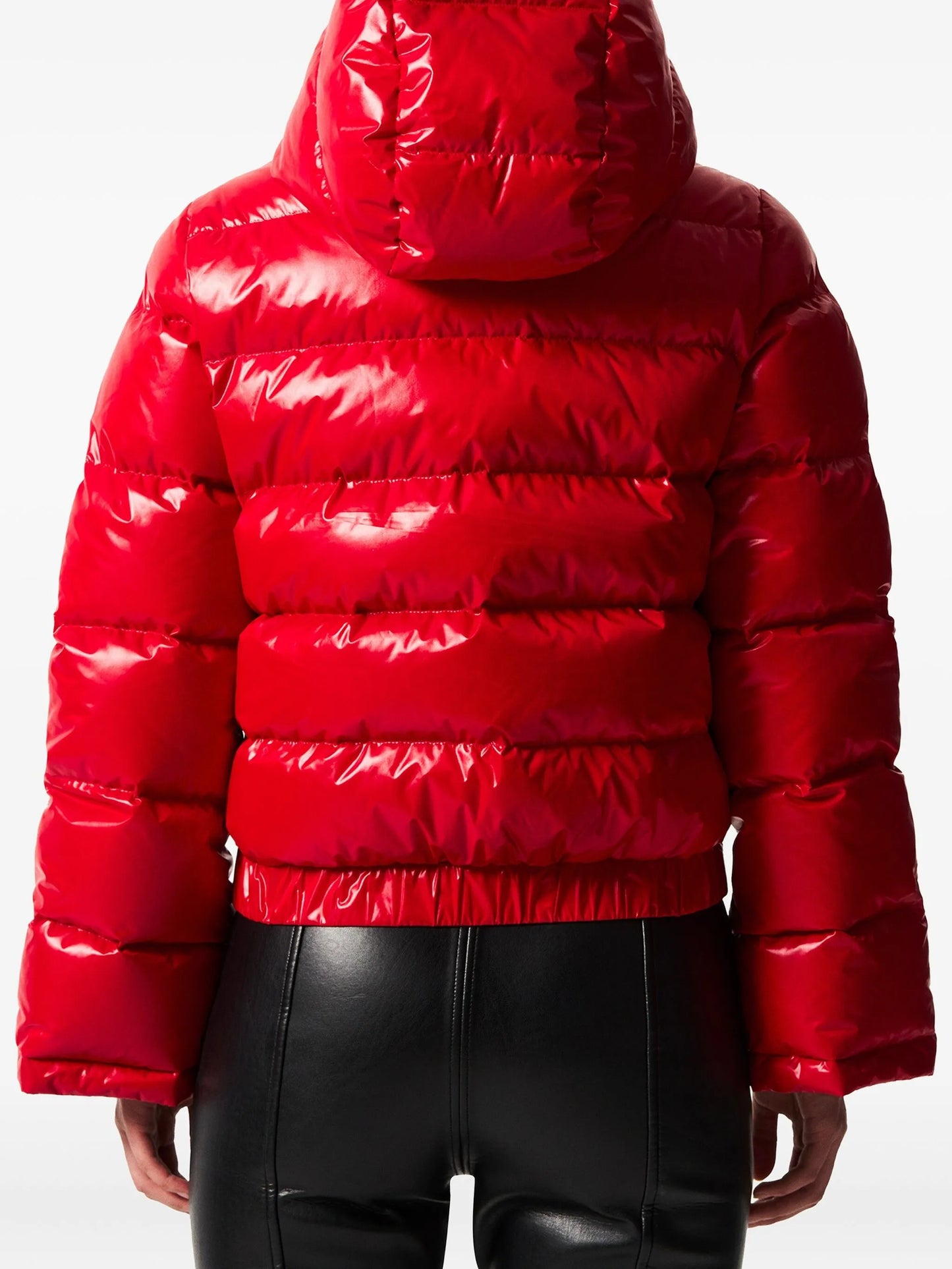 Polar ski jacket