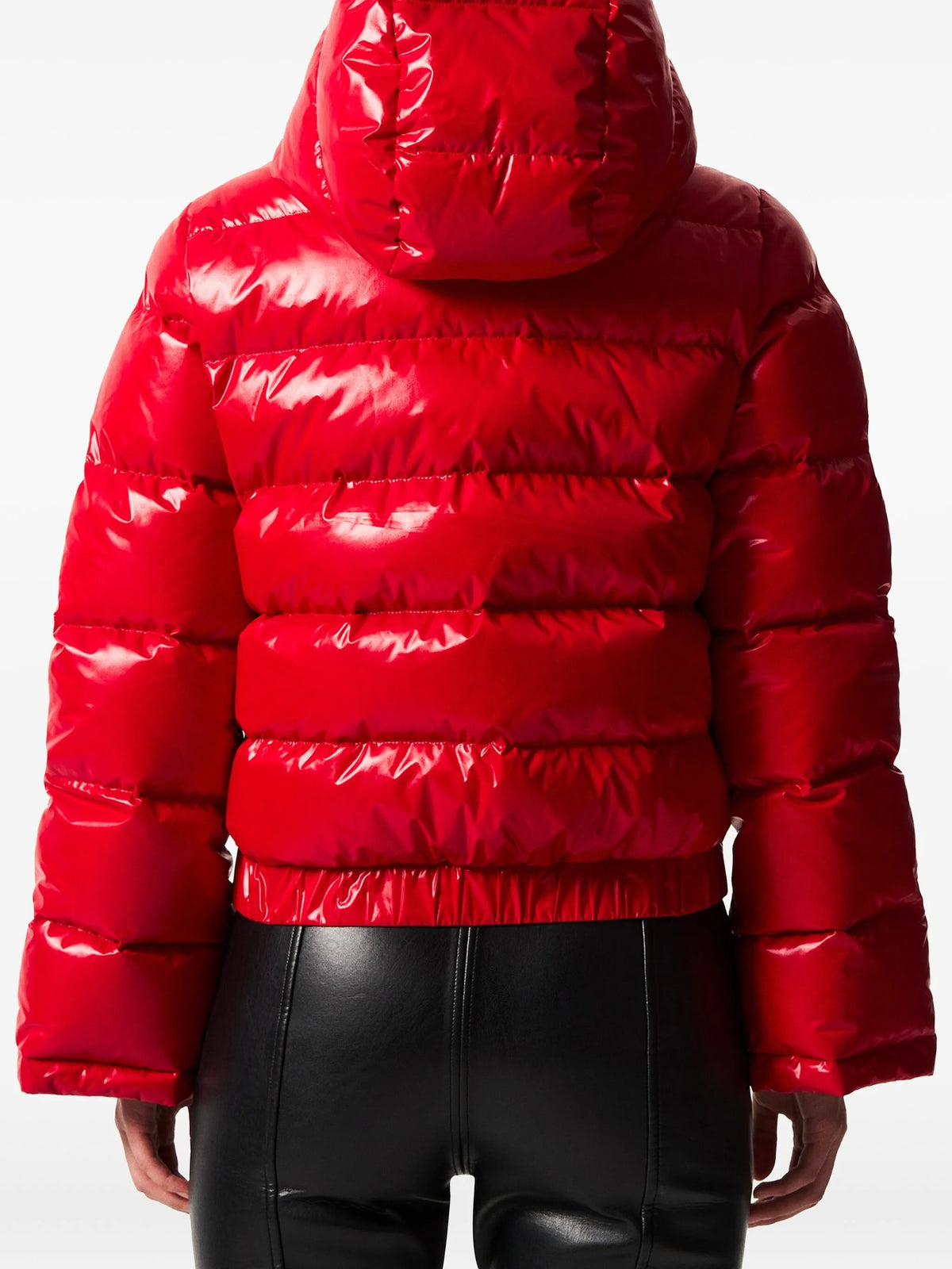 Polar ski jacket