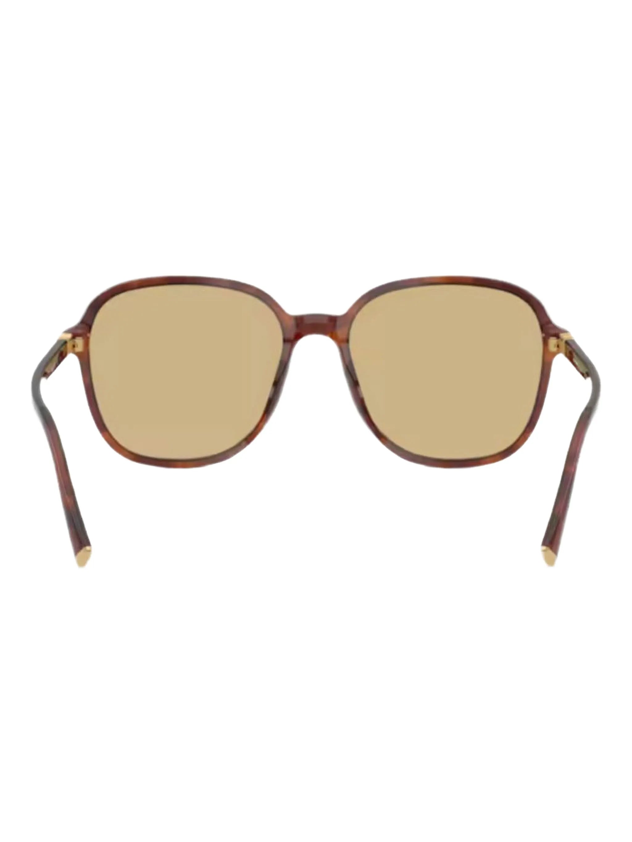 round-frame tinted sunglasses