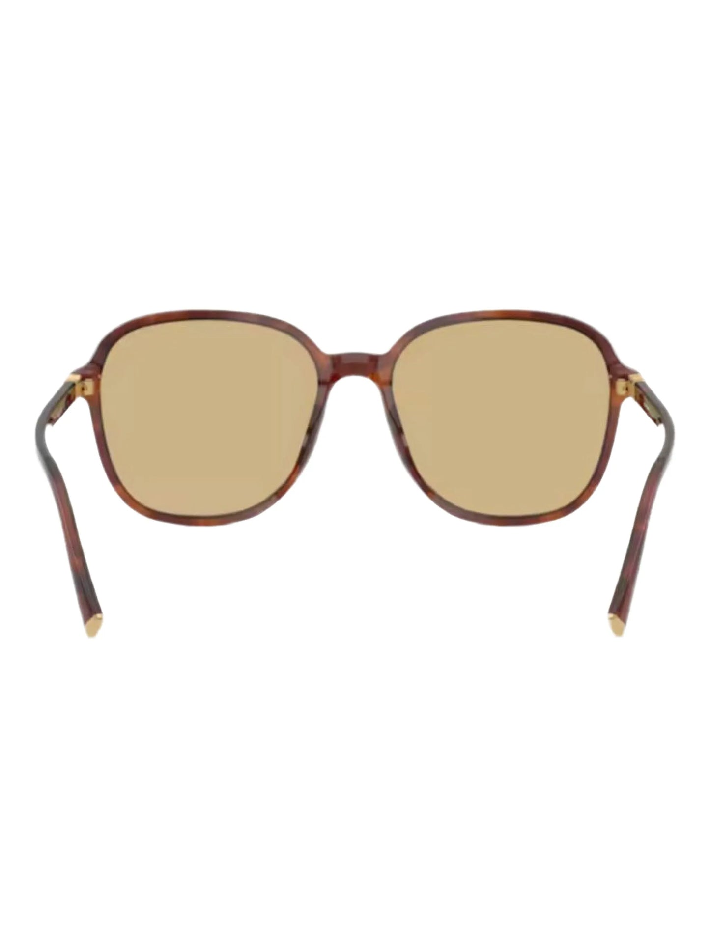 round-frame tinted sunglasses