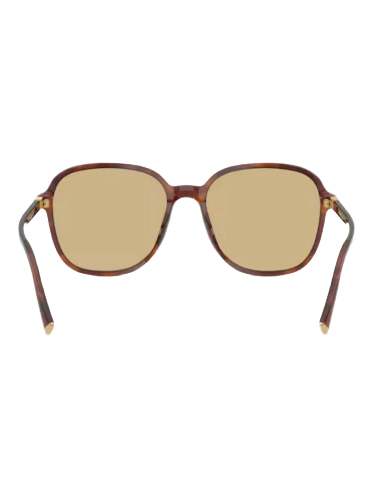 round-frame tinted sunglasses