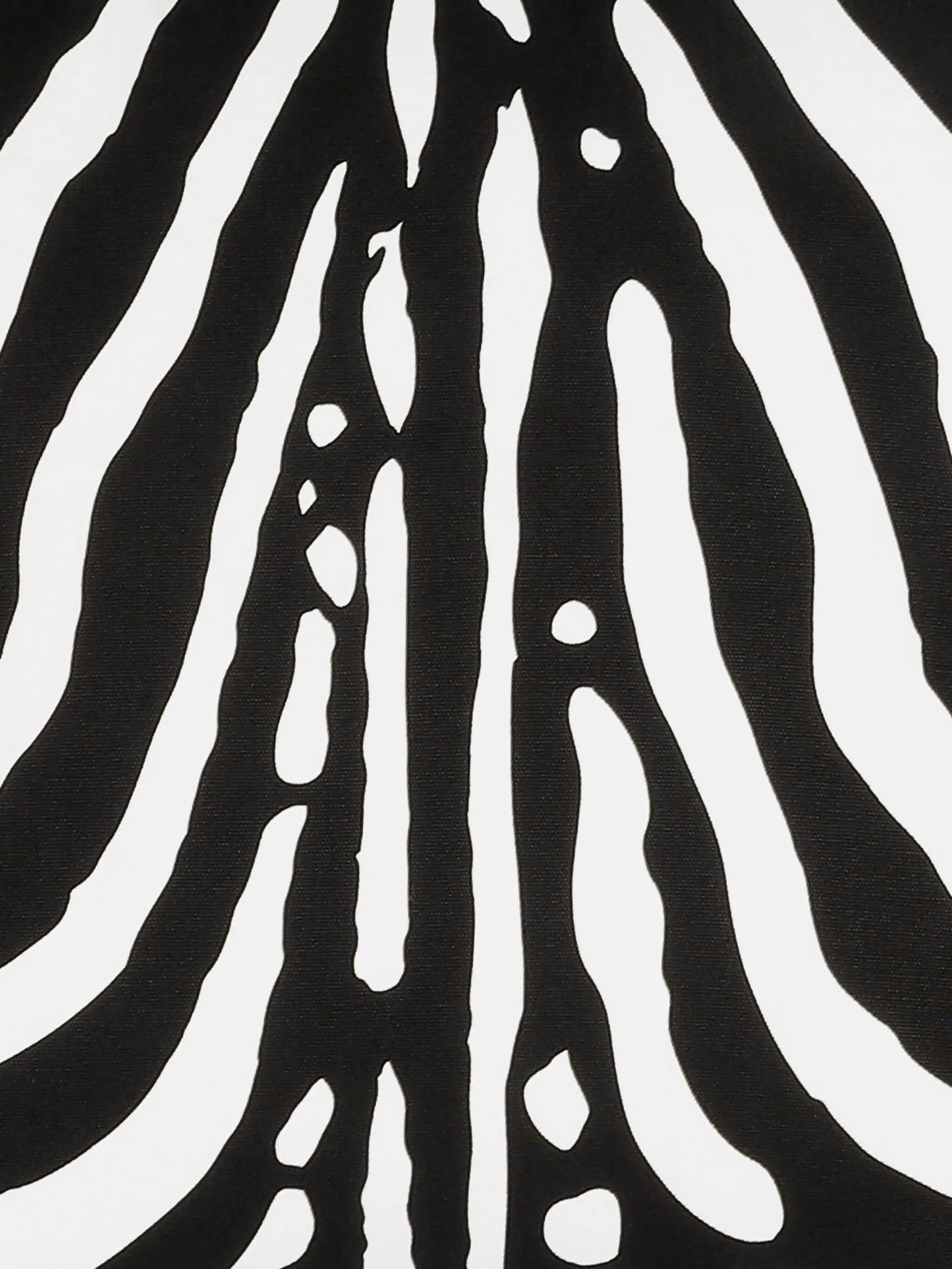 medium zebra-print canvas cushion (50cm x 50cm)