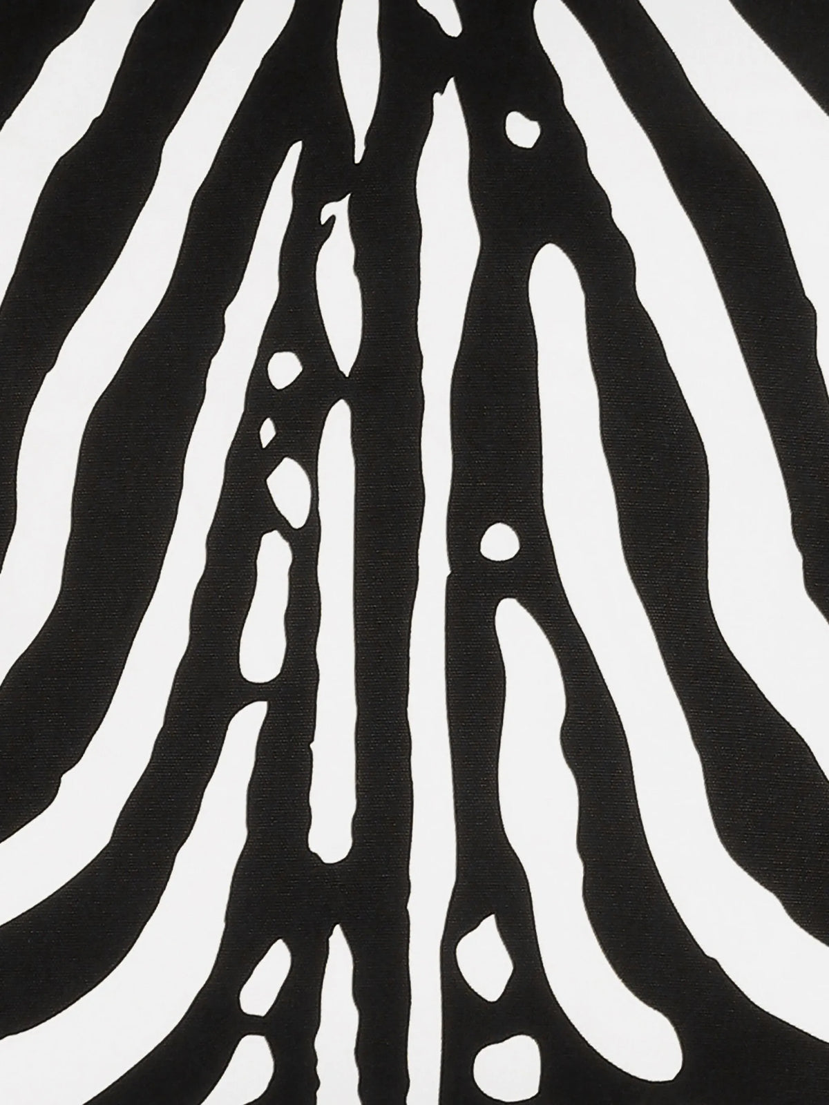 medium zebra-print canvas cushion (50cm x 50cm)