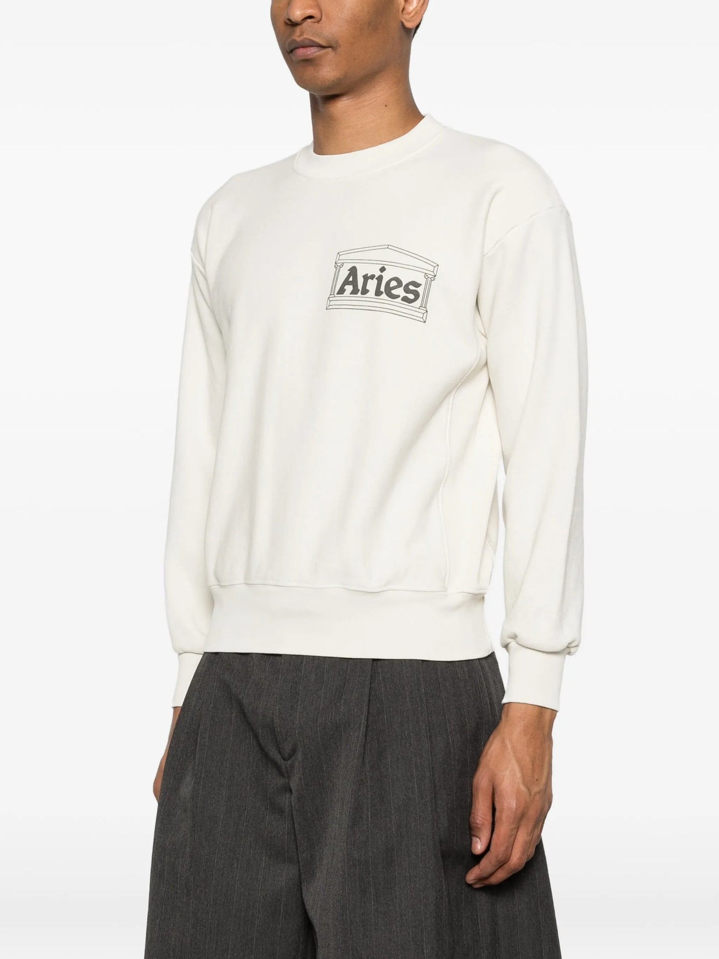 temple sweatshirt