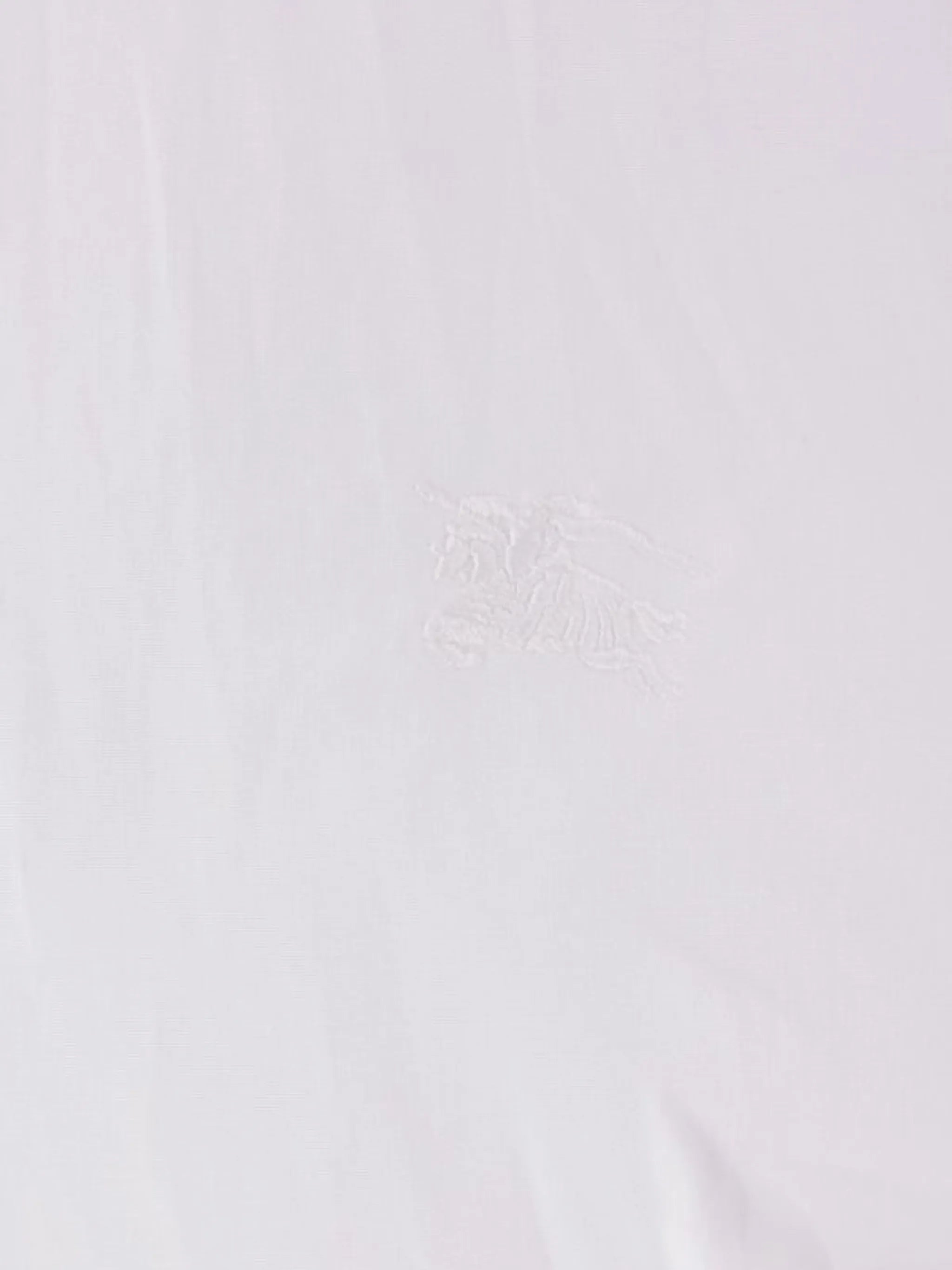 long-sleeved embroided shirt