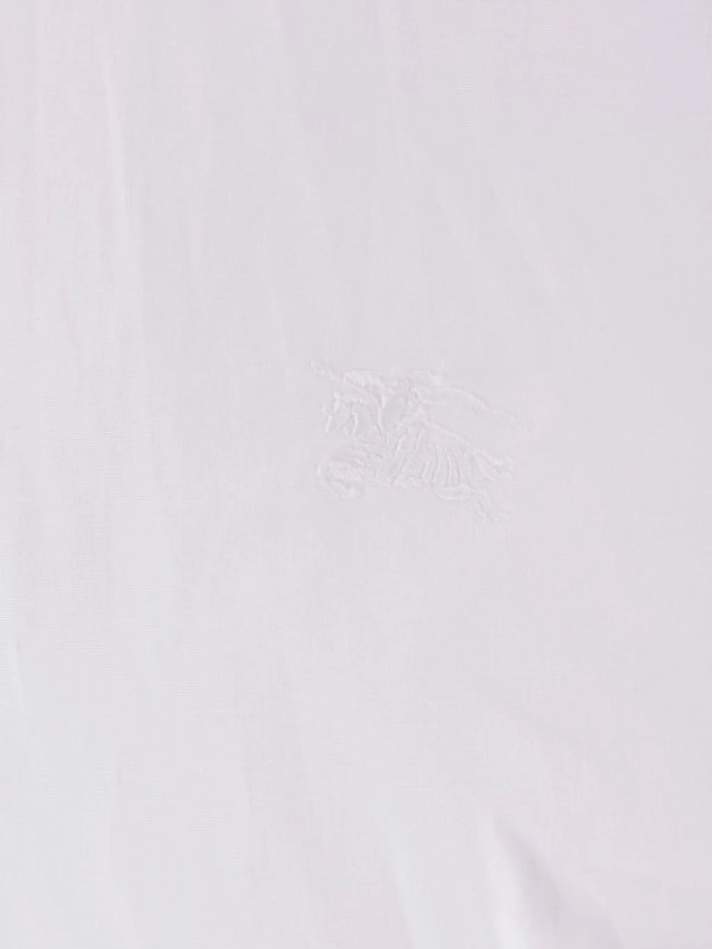 long-sleeved embroided shirt