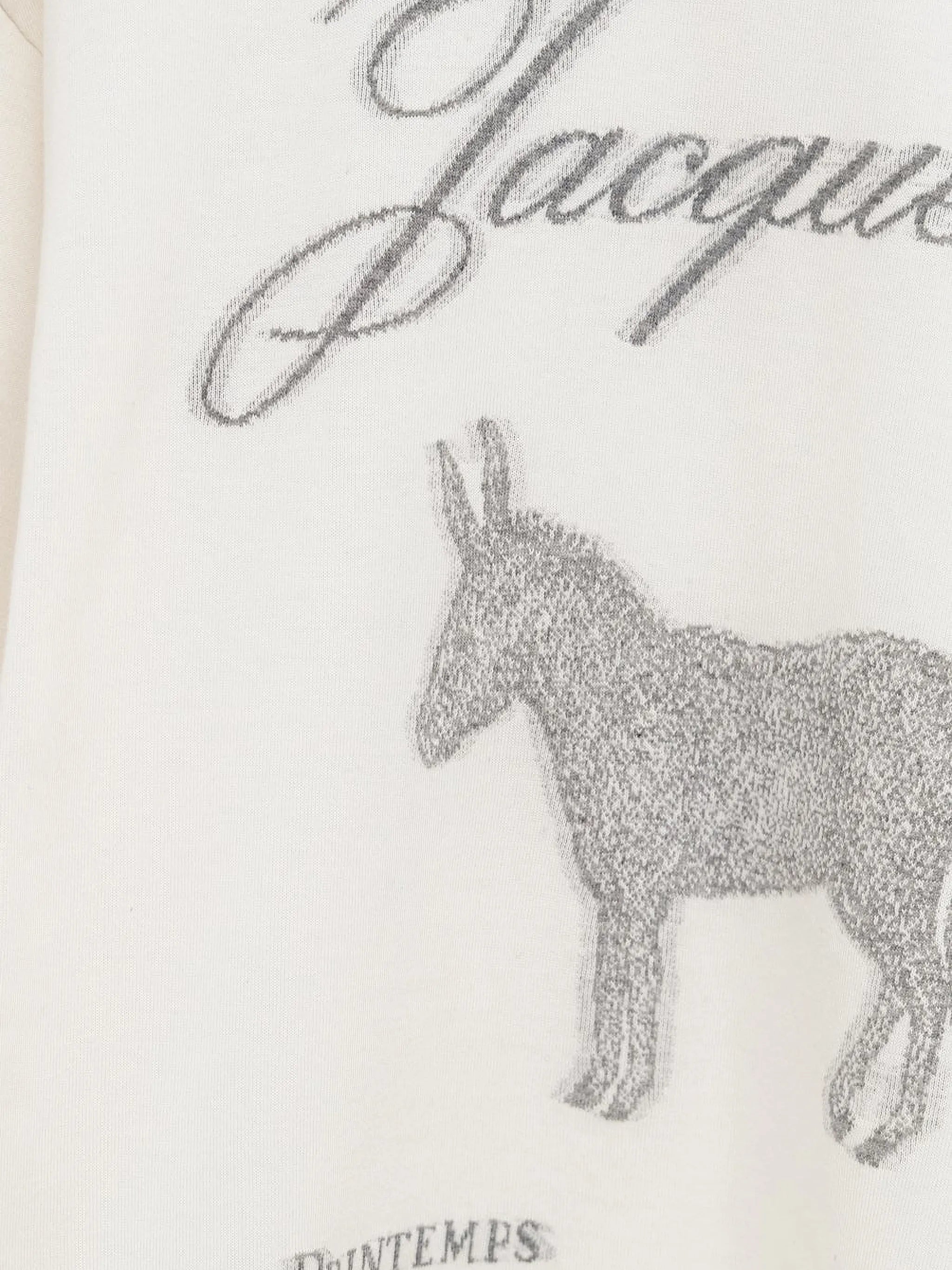 The Âne graphic T-shirt