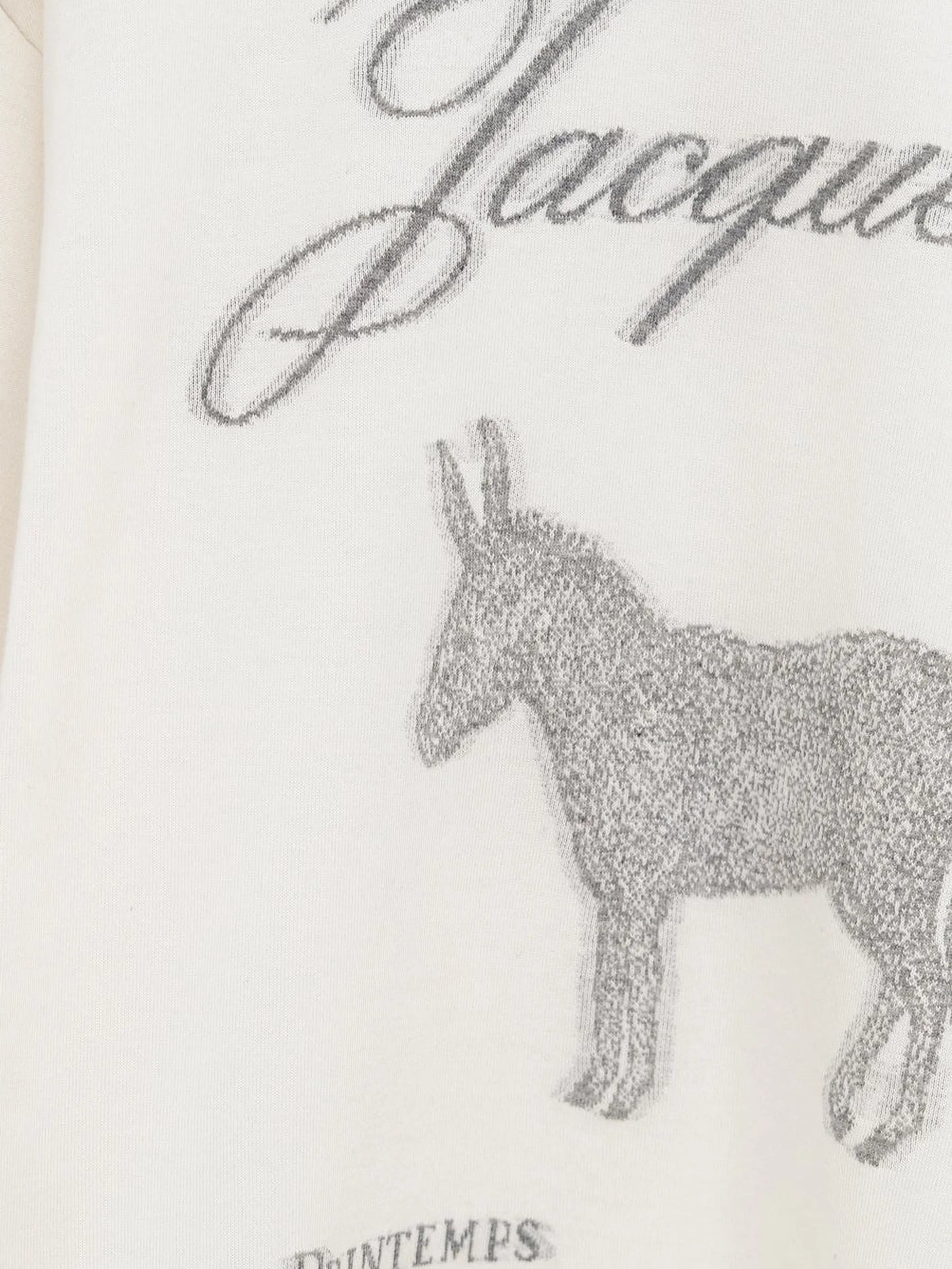 The Âne graphic T-shirt