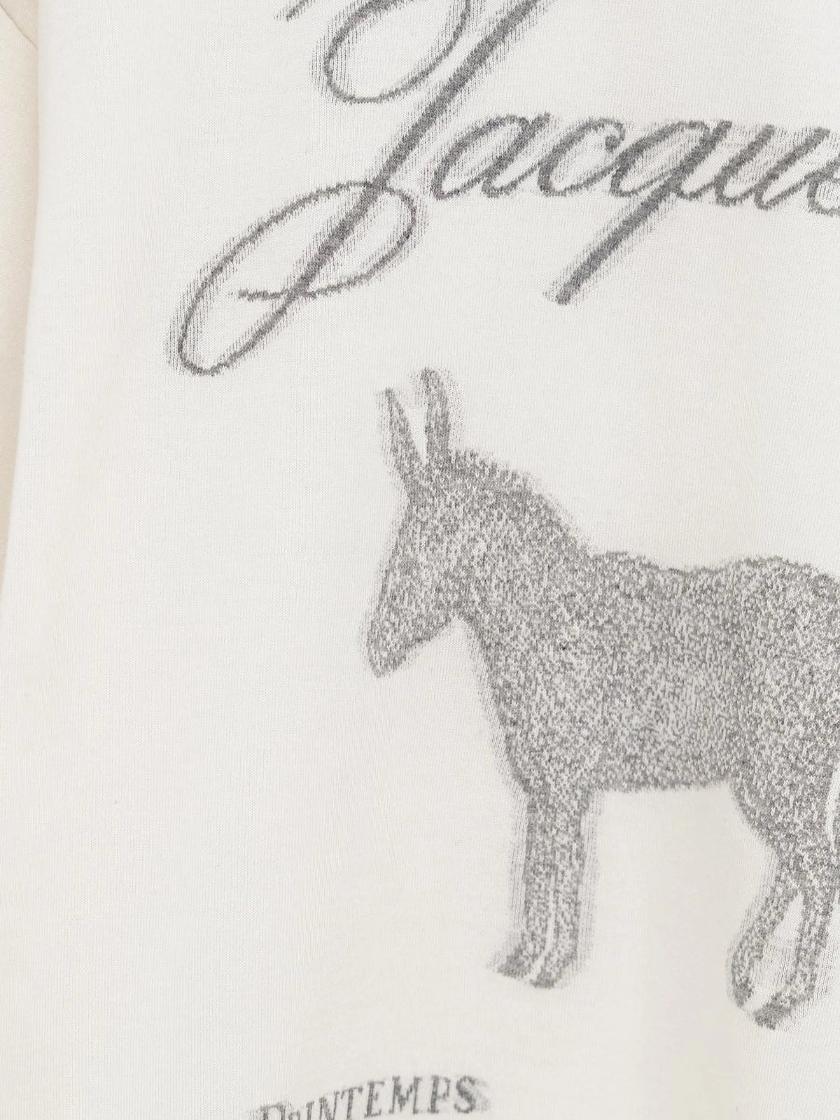 The Âne graphic T-shirt