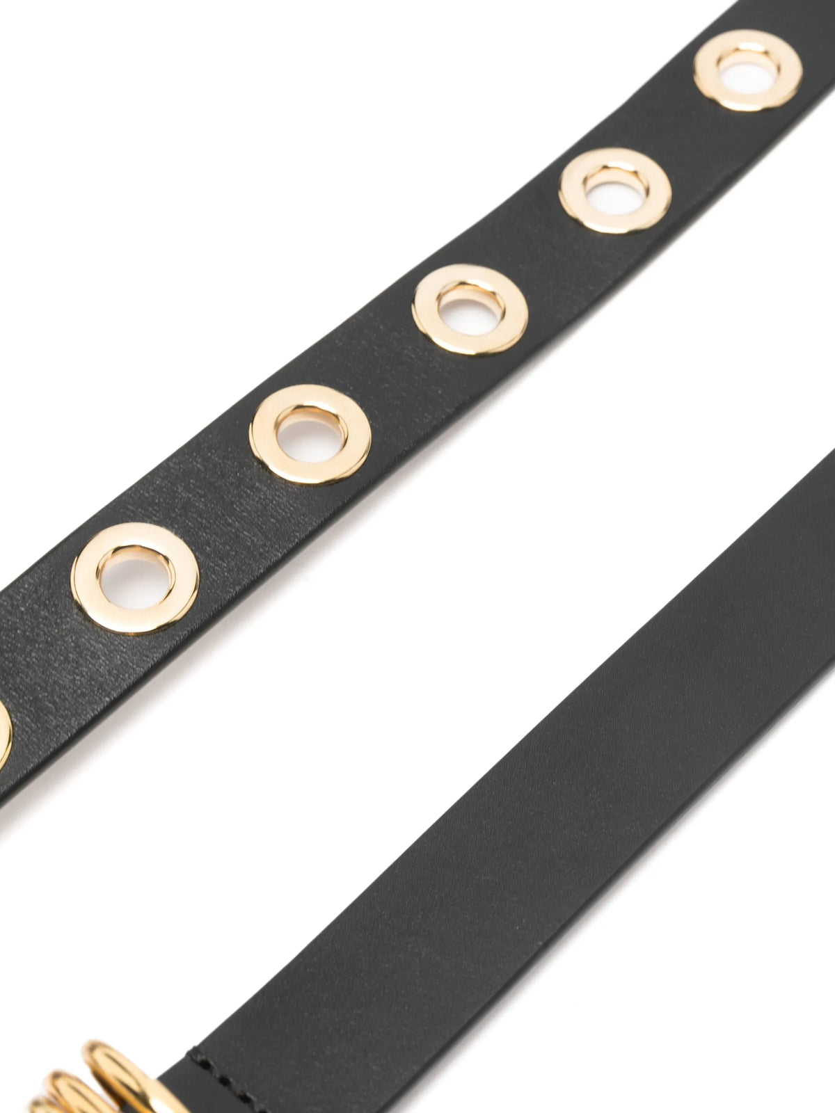 Hollyhock 10 rivet black gold belt