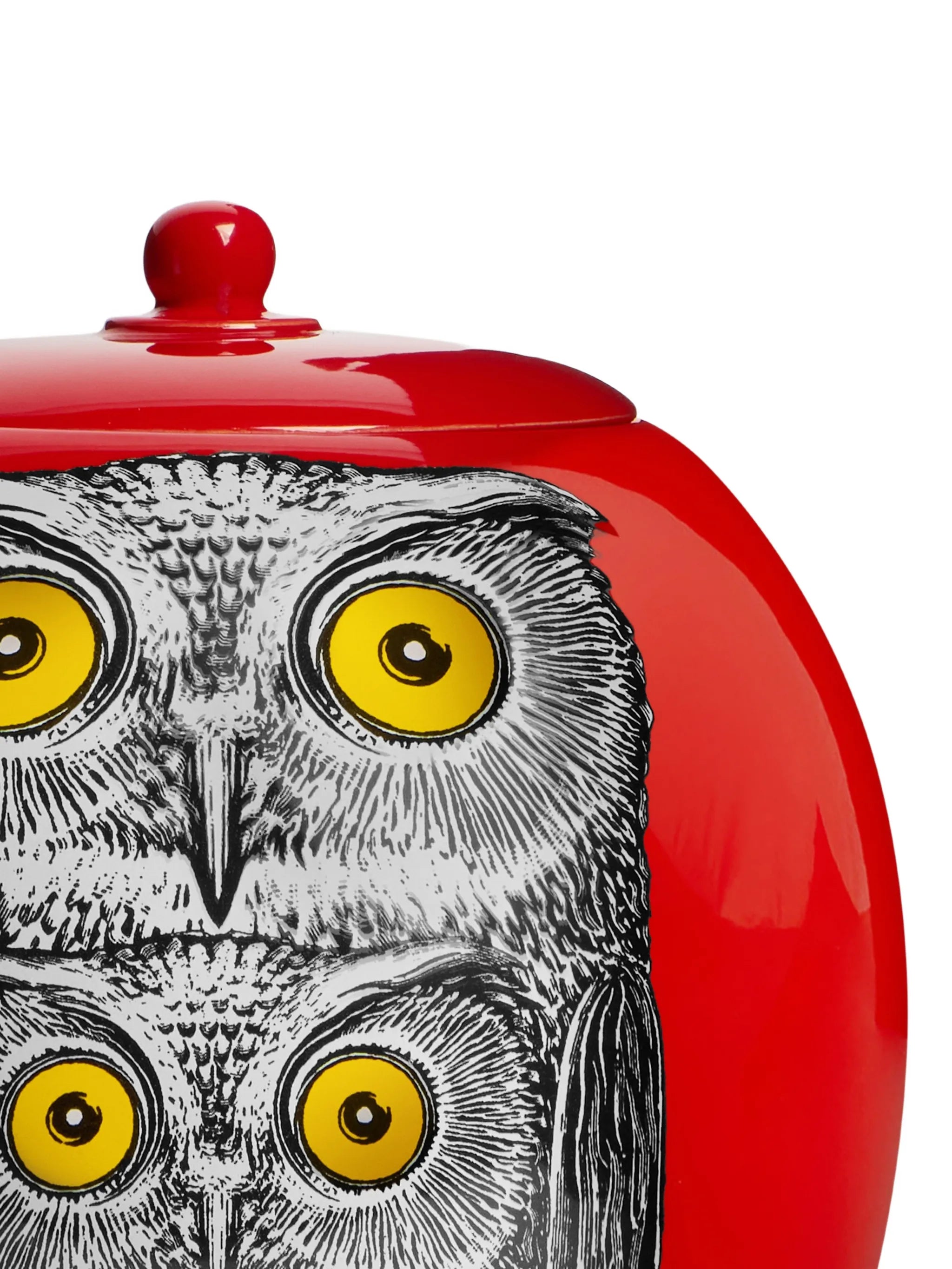 owl-illustrated vase