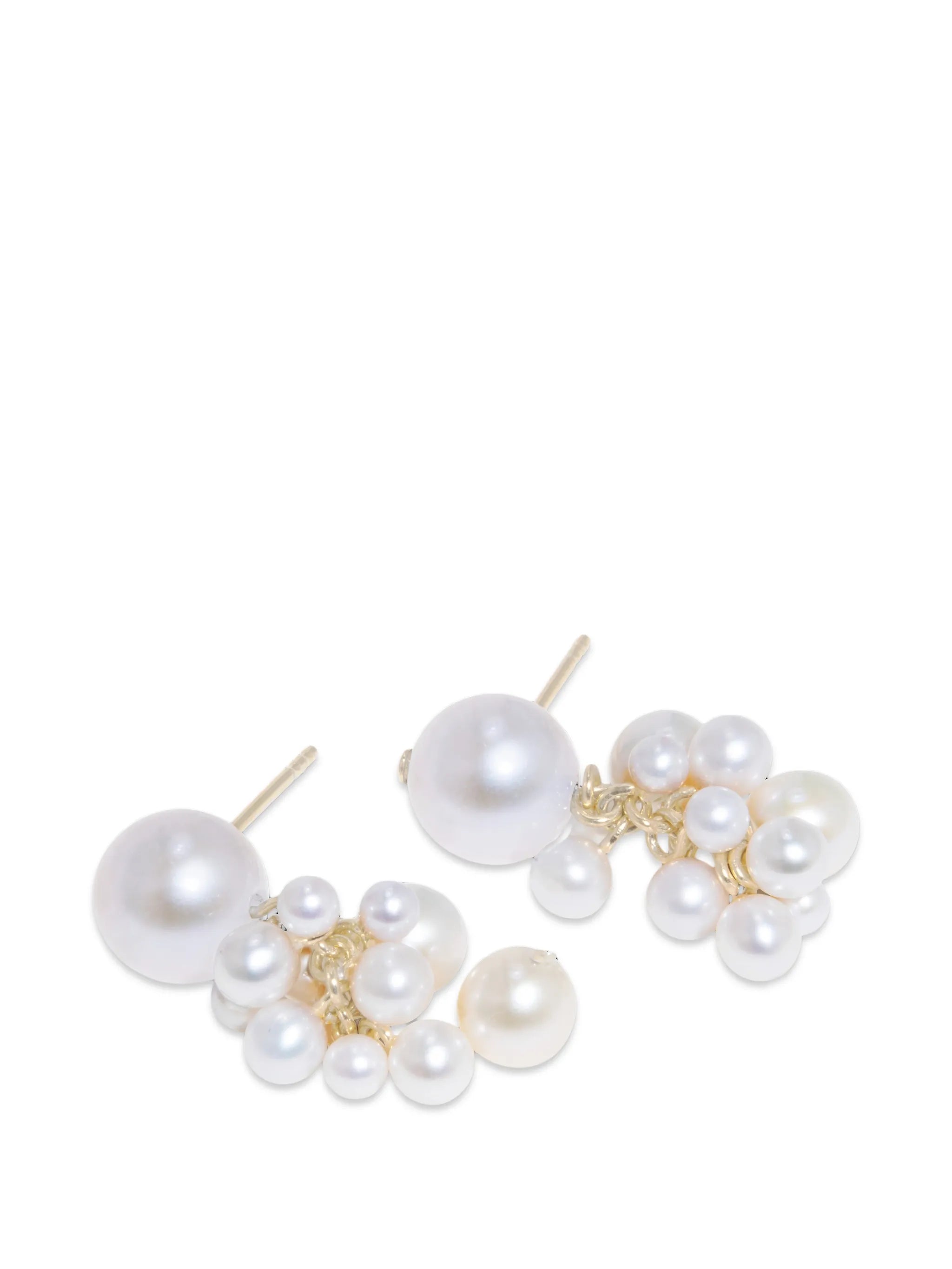 Til The Stars Wane earrings