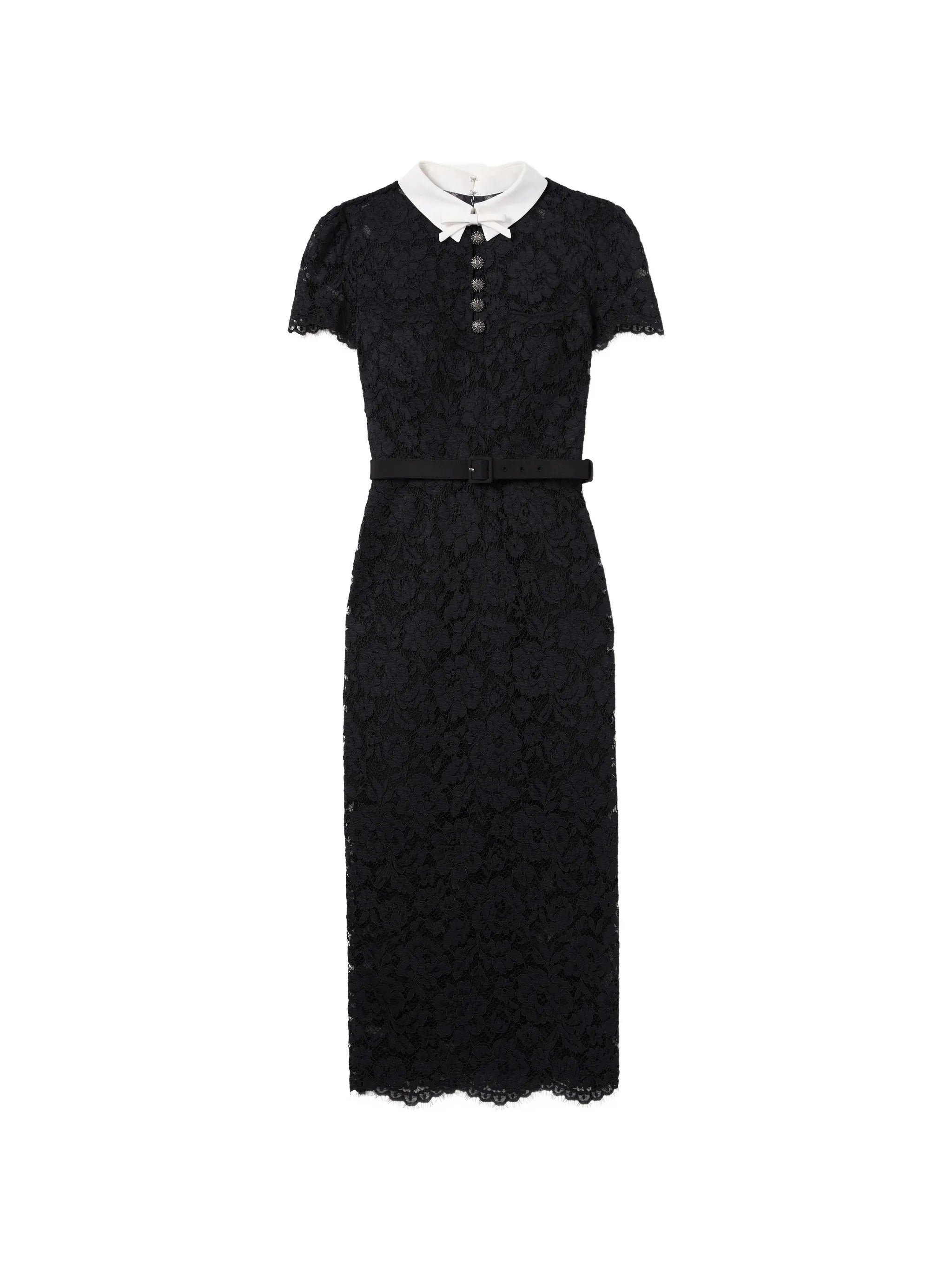 black lace contrast-collar midi dress