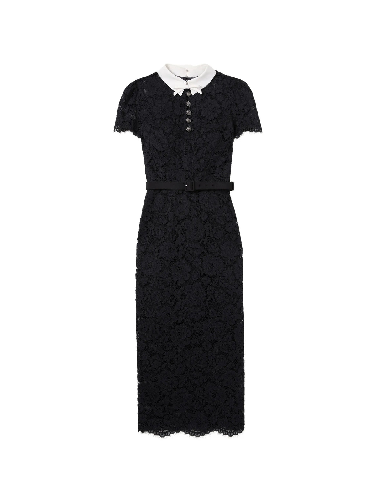 black lace contrast-collar midi dress