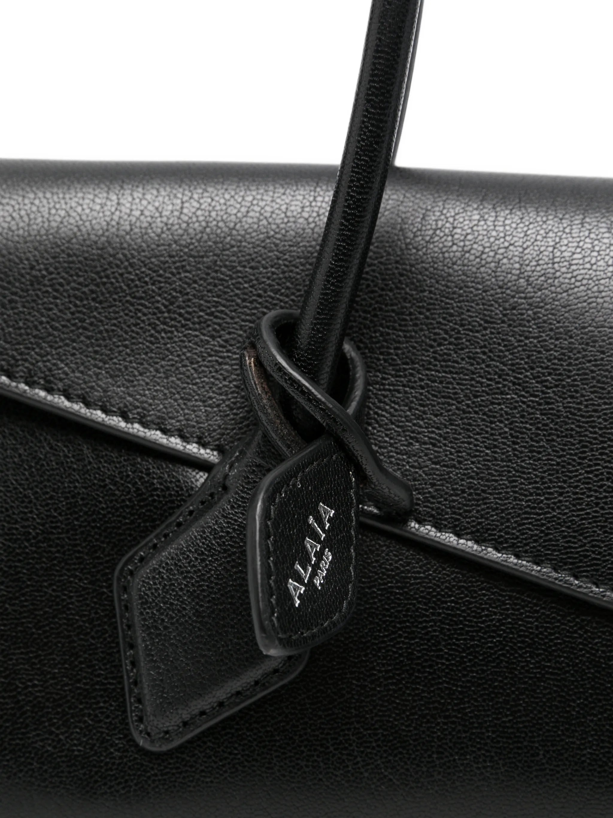 Medium Le Teckel Flap shoulder bag