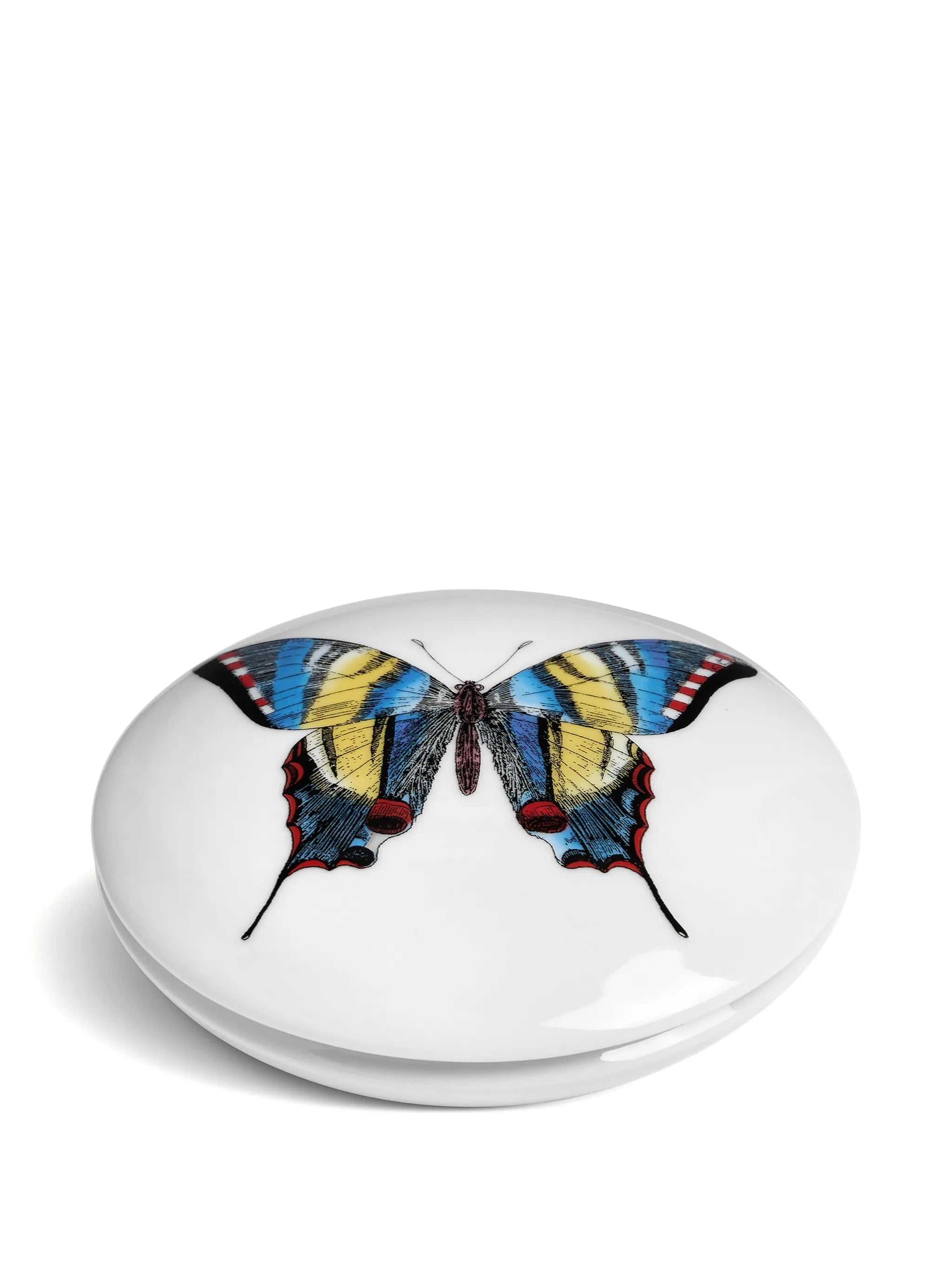 butterfly-print trinked box