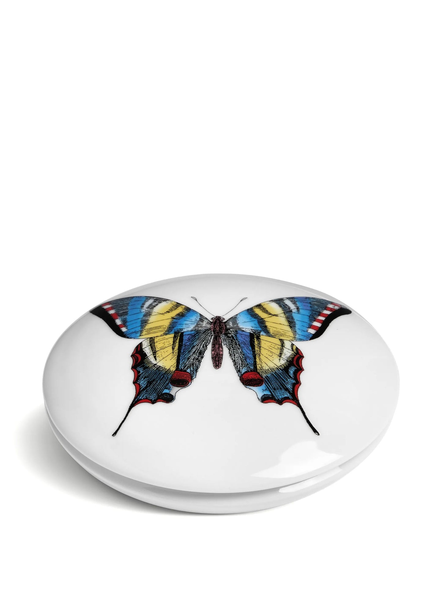 butterfly-print trinked box