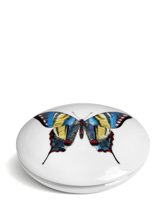 butterfly-print trinked box