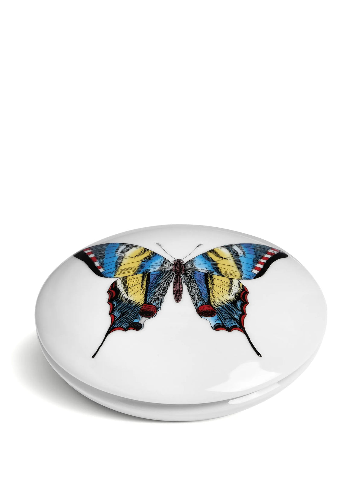 butterfly-print trinked box