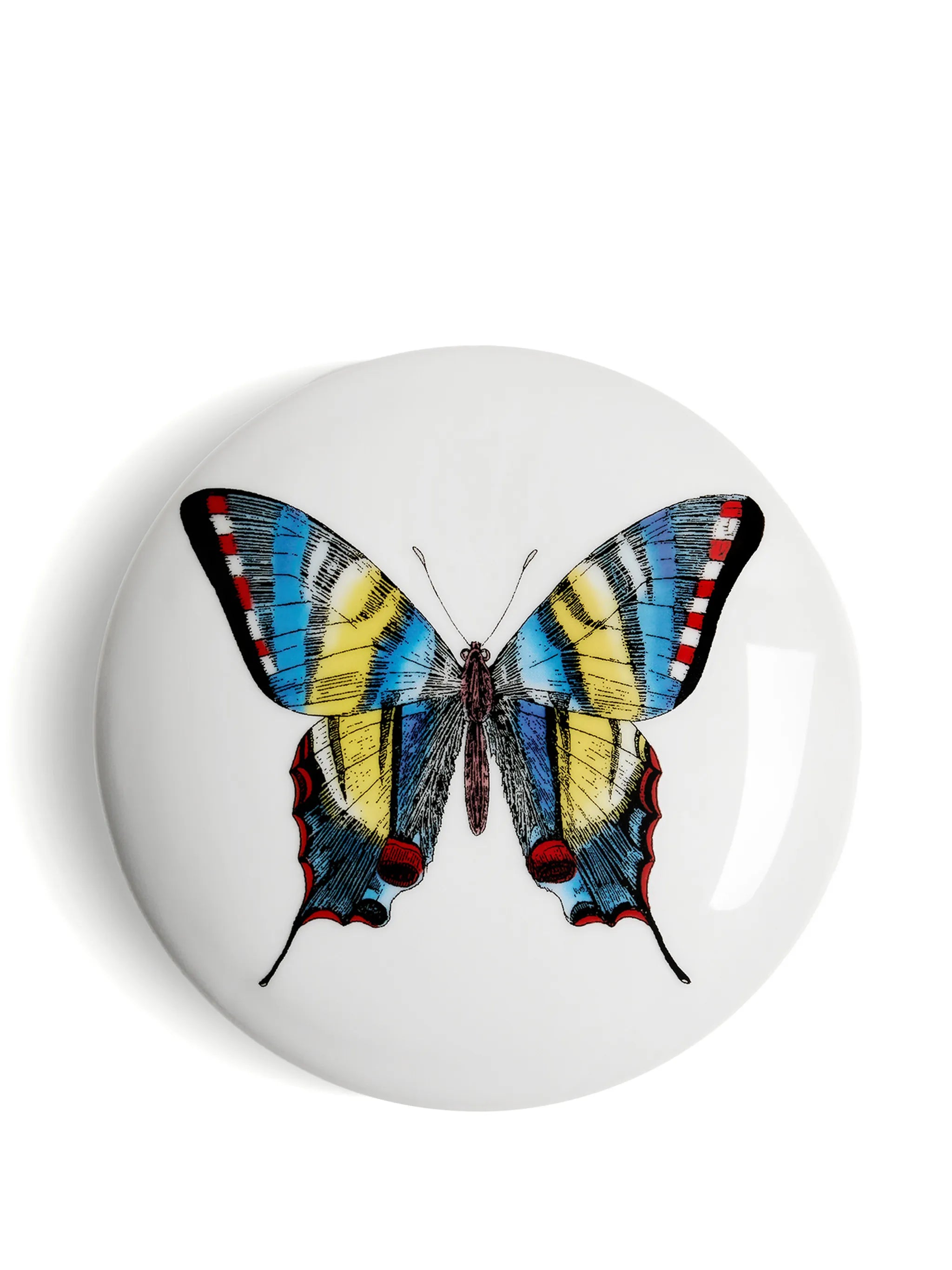 butterfly-print trinked box