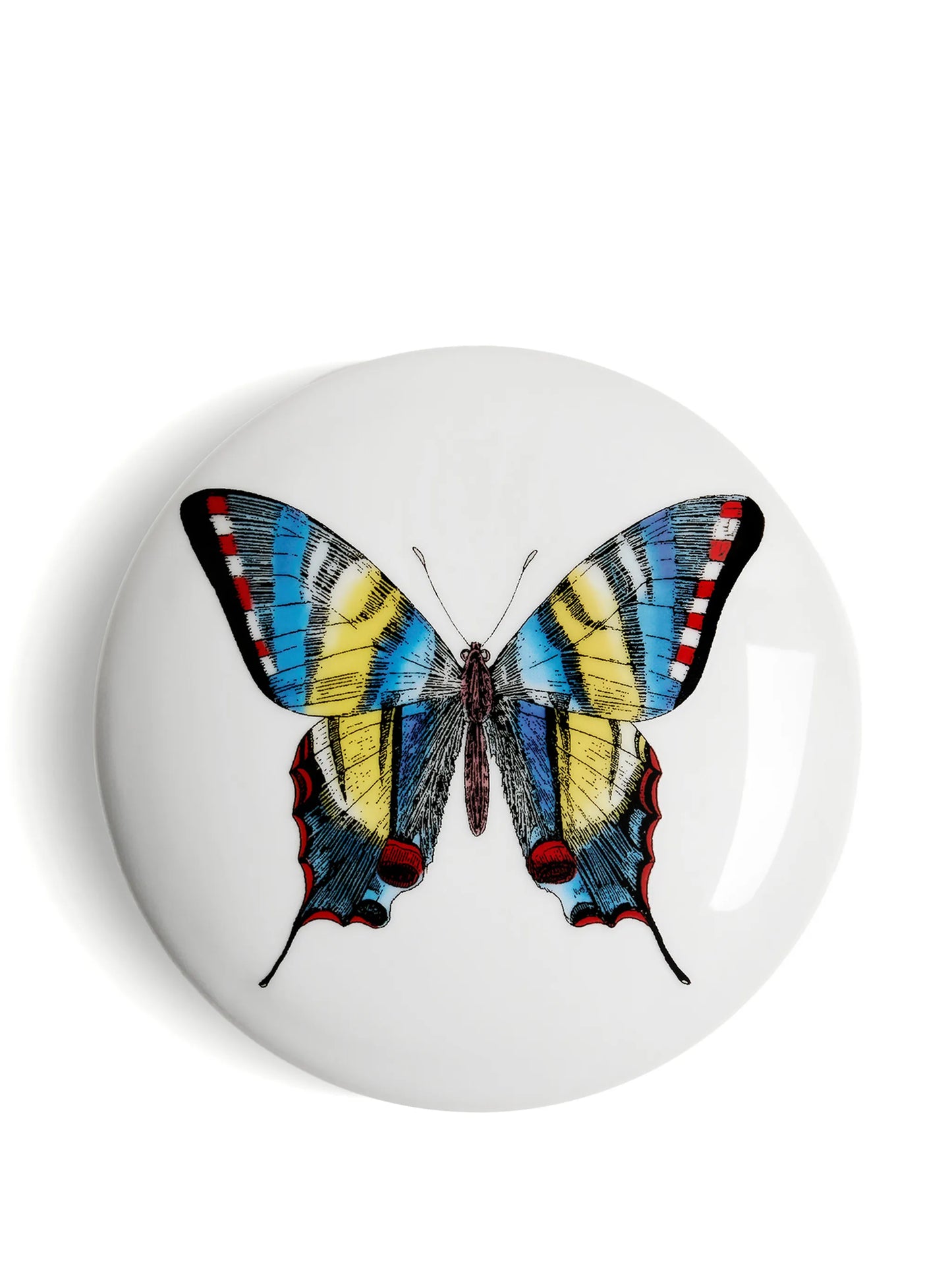 butterfly-print trinked box