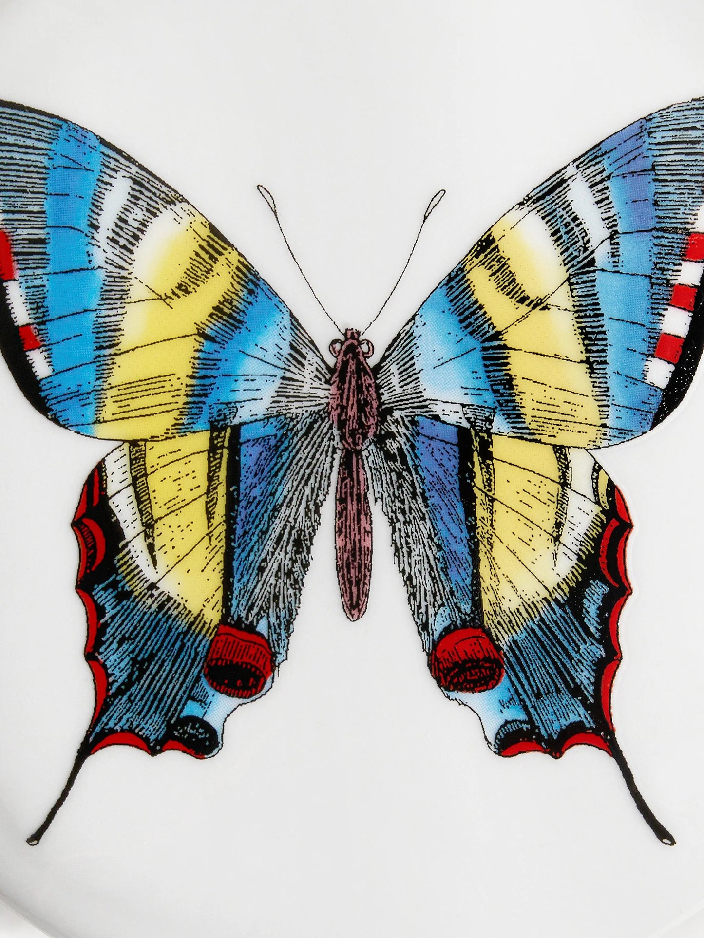 butterfly-print trinked box