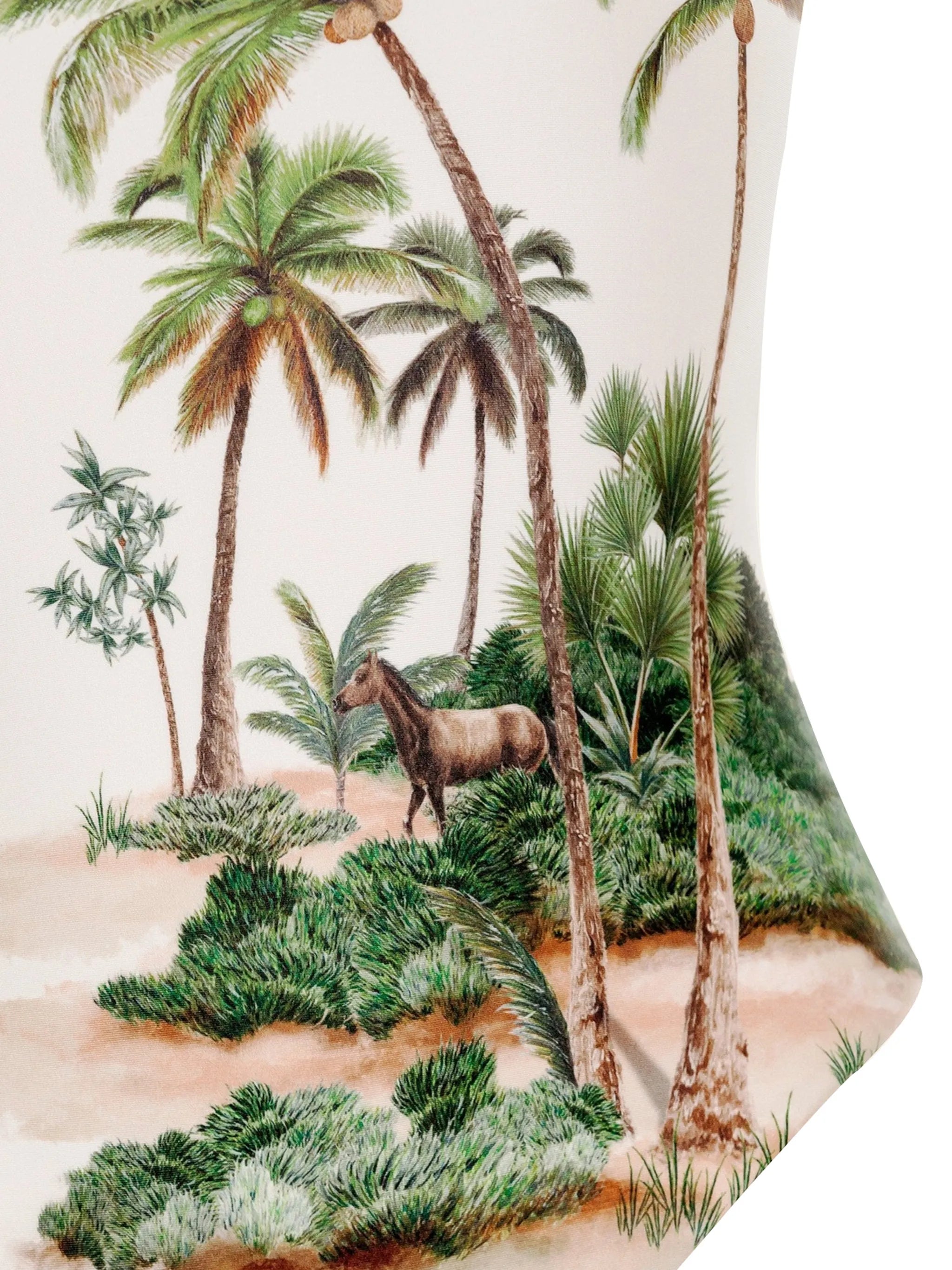 Durazno Arena swimsuit