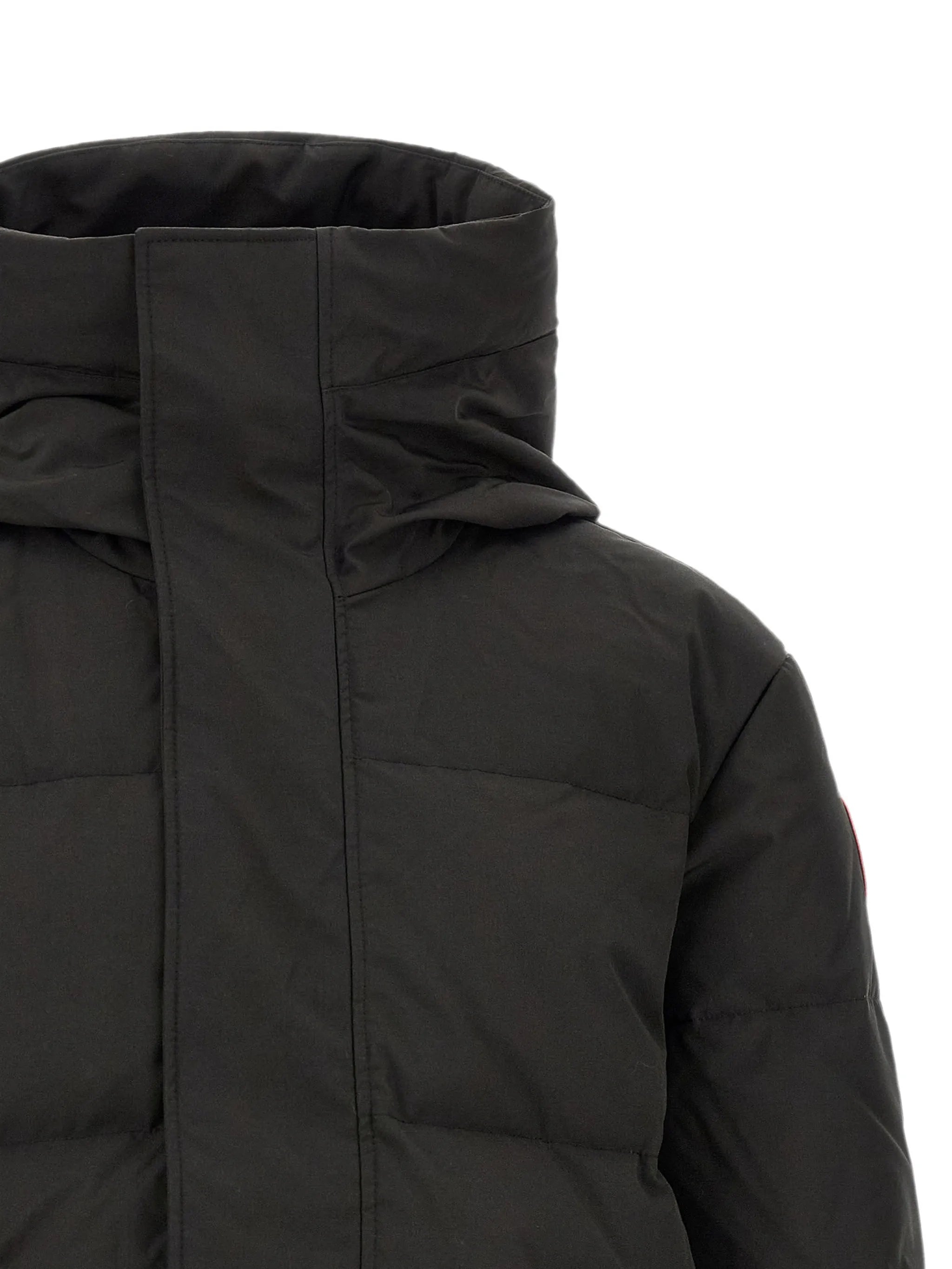 Seymour padded jacket