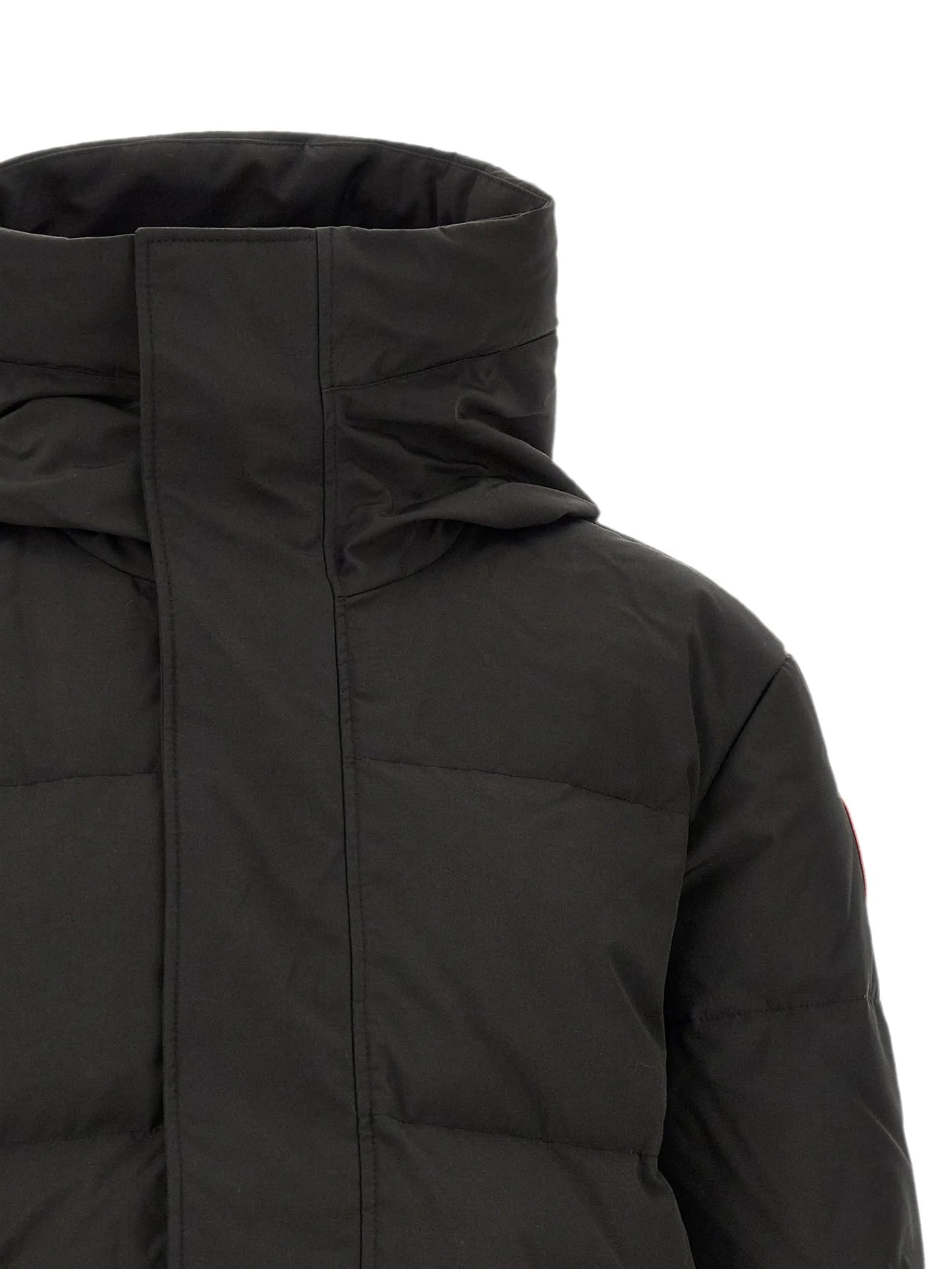 Seymour padded jacket