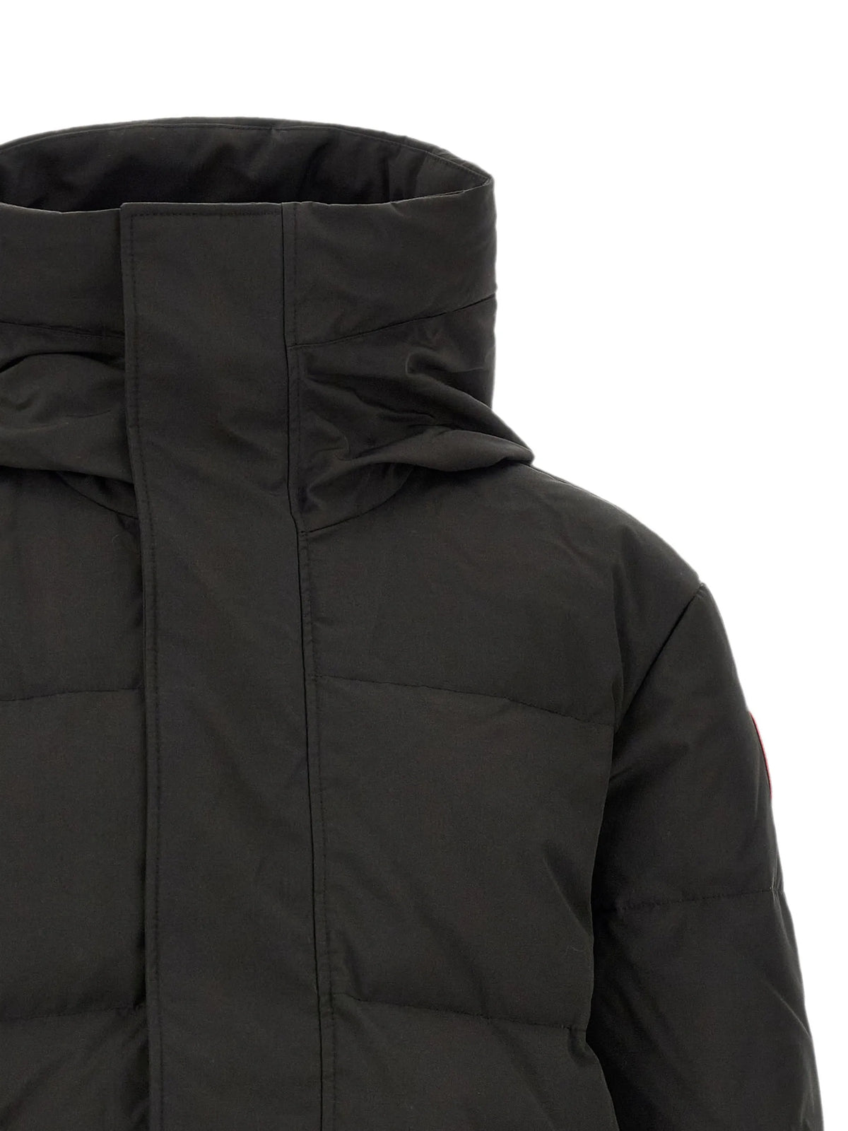 Seymour padded jacket
