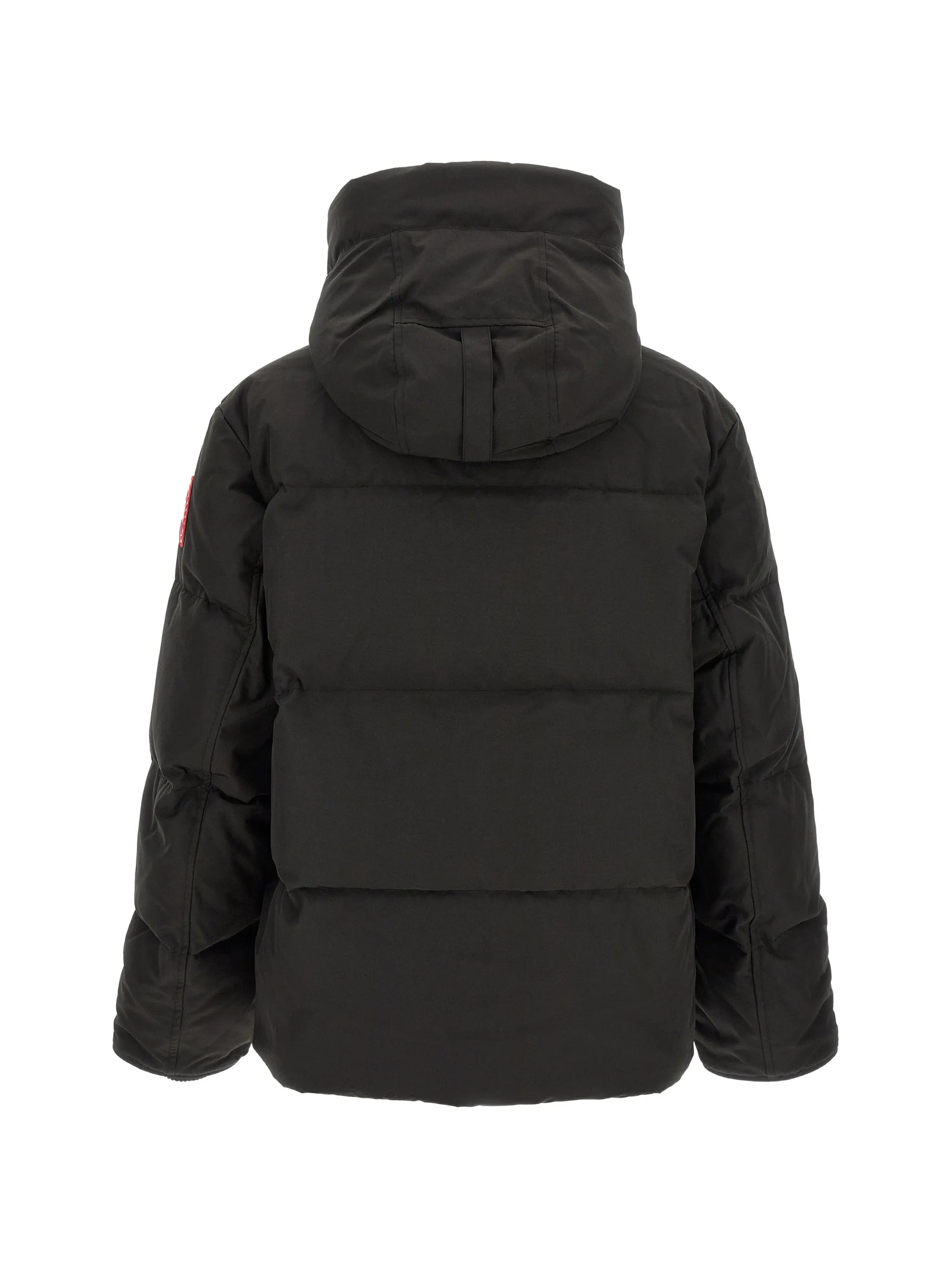 Seymour padded jacket