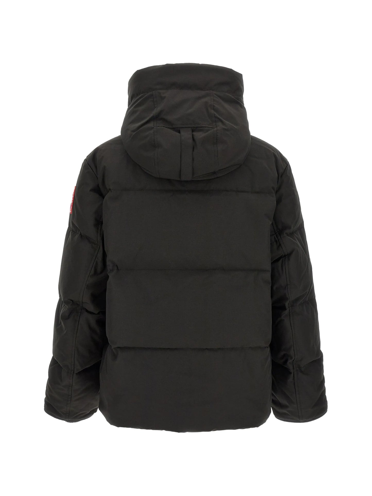 Seymour padded jacket