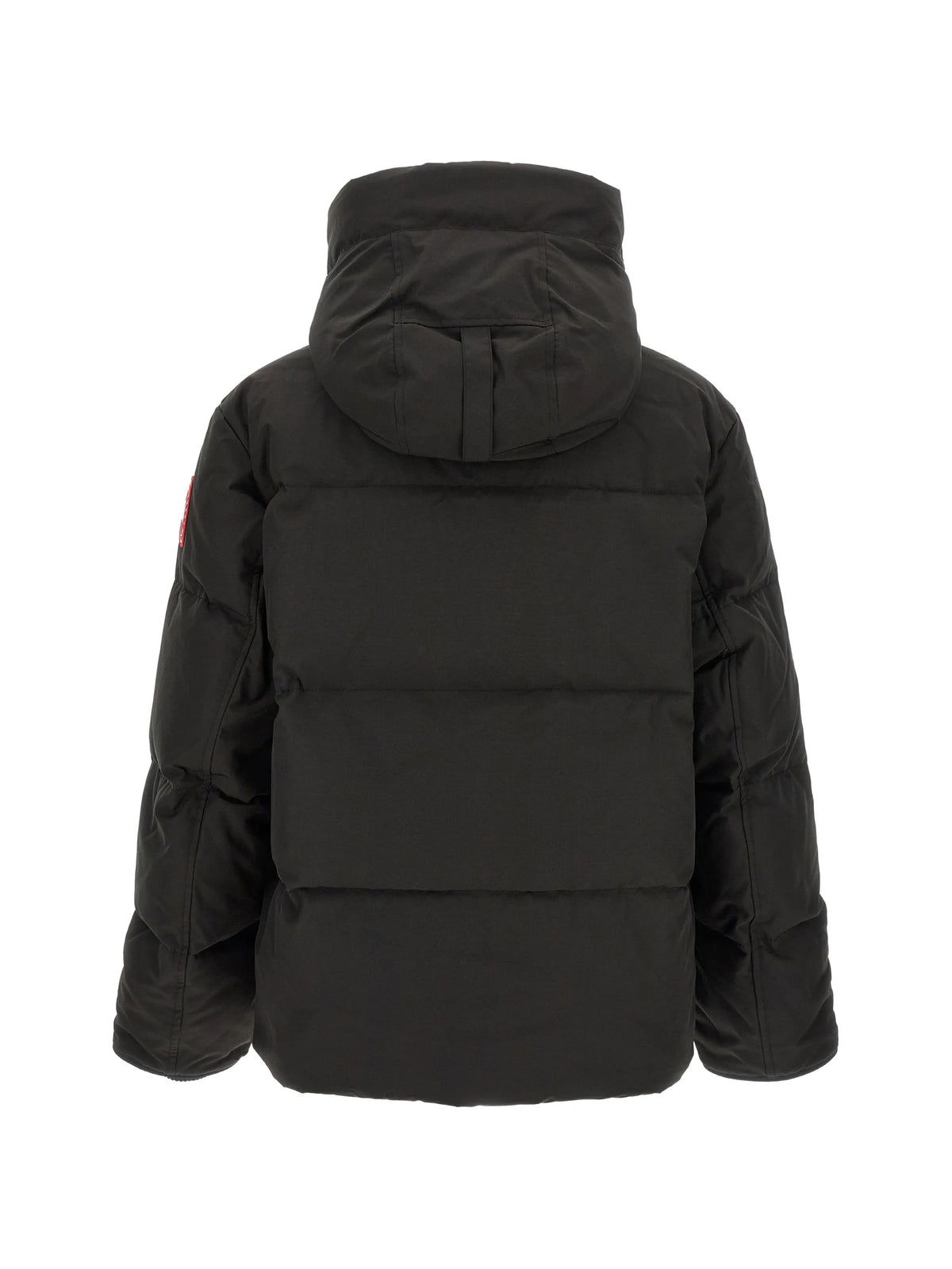 Seymour padded jacket