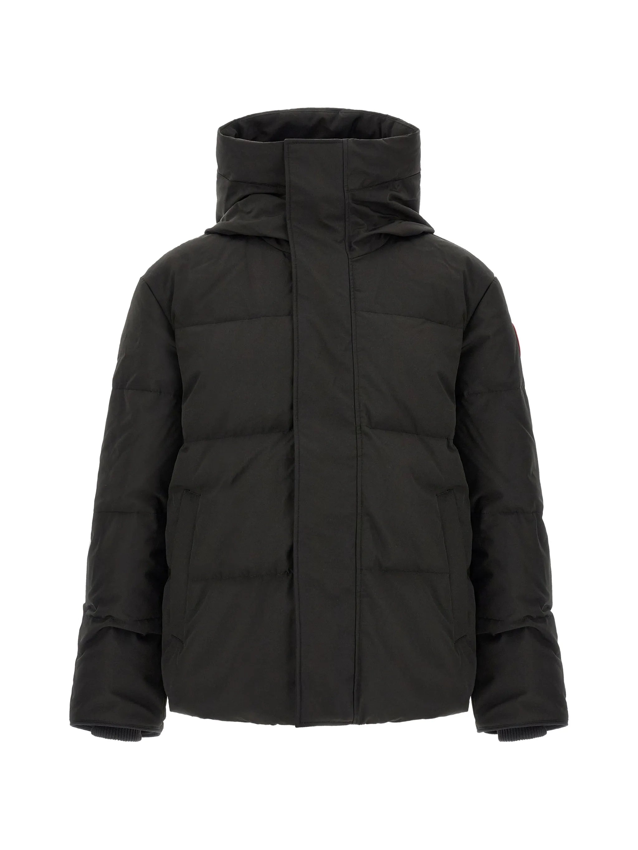 Seymour padded jacket
