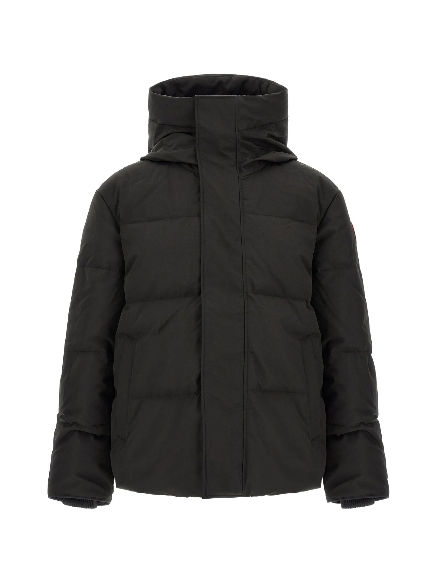 Seymour padded jacket