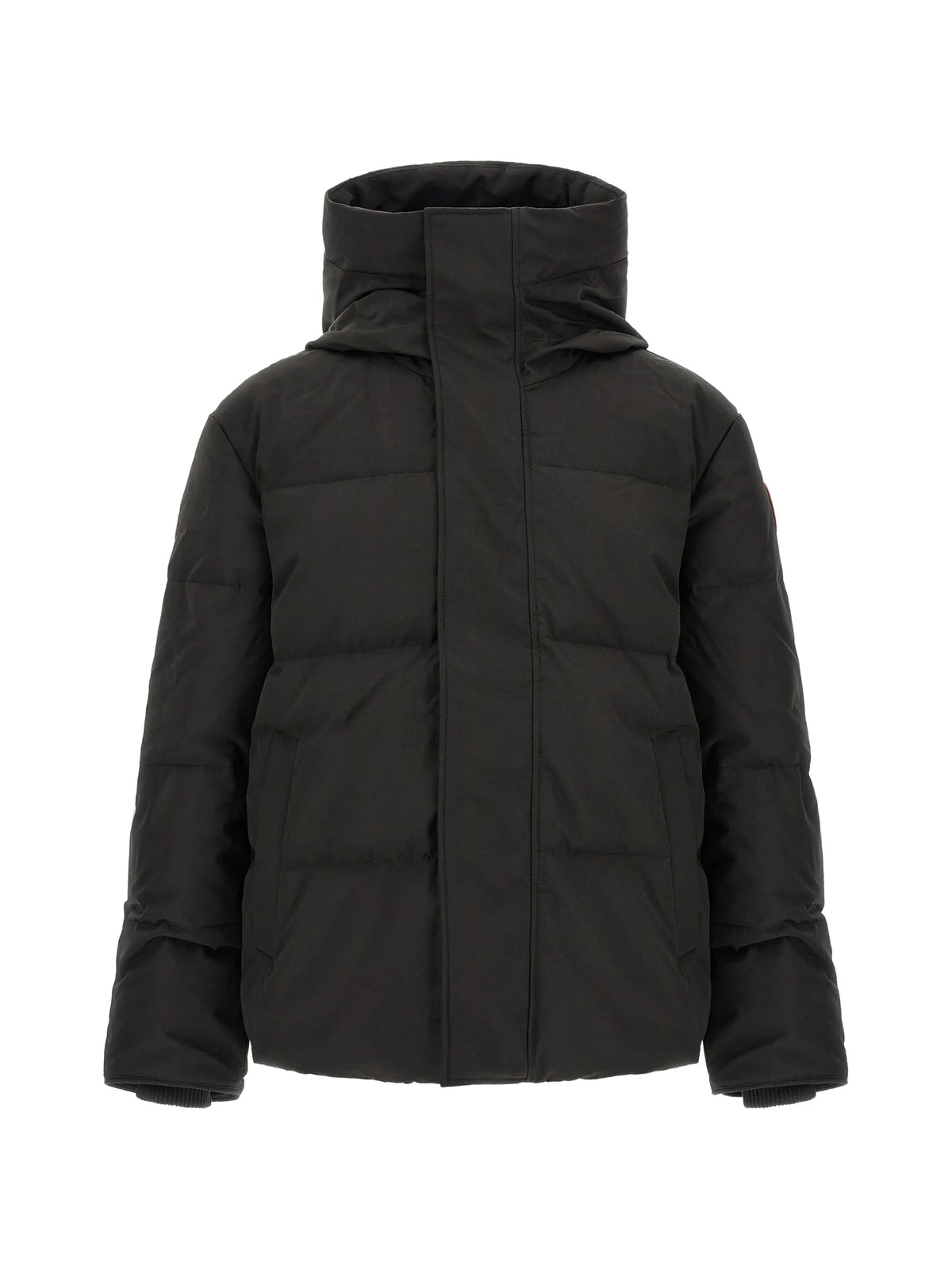 Seymour padded jacket