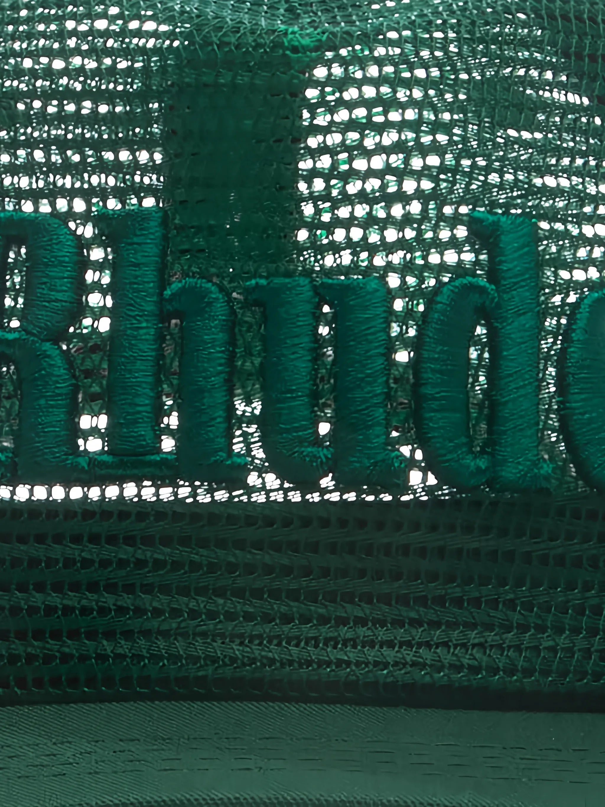 logo mesh hat